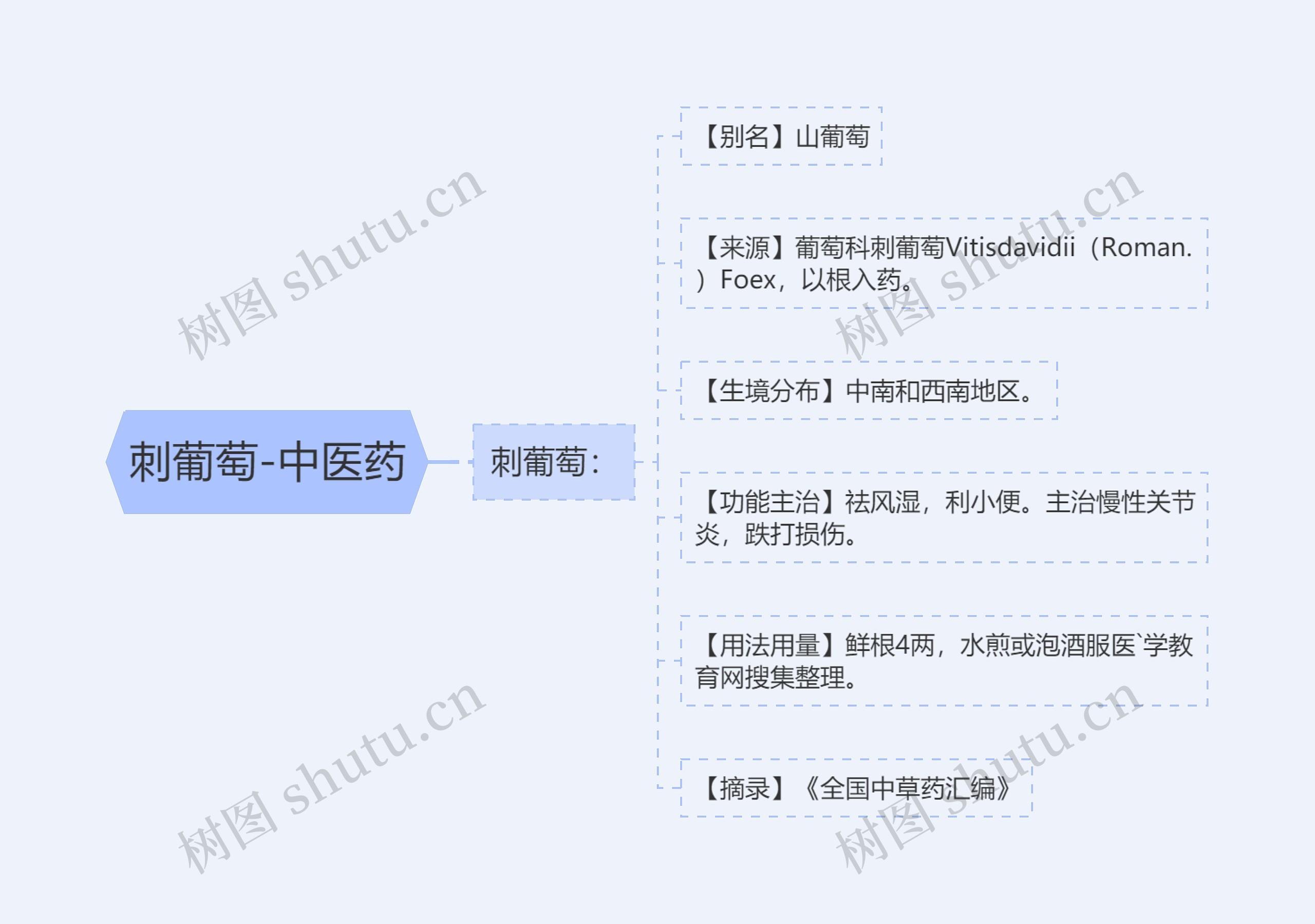 刺葡萄-中医药思维导图