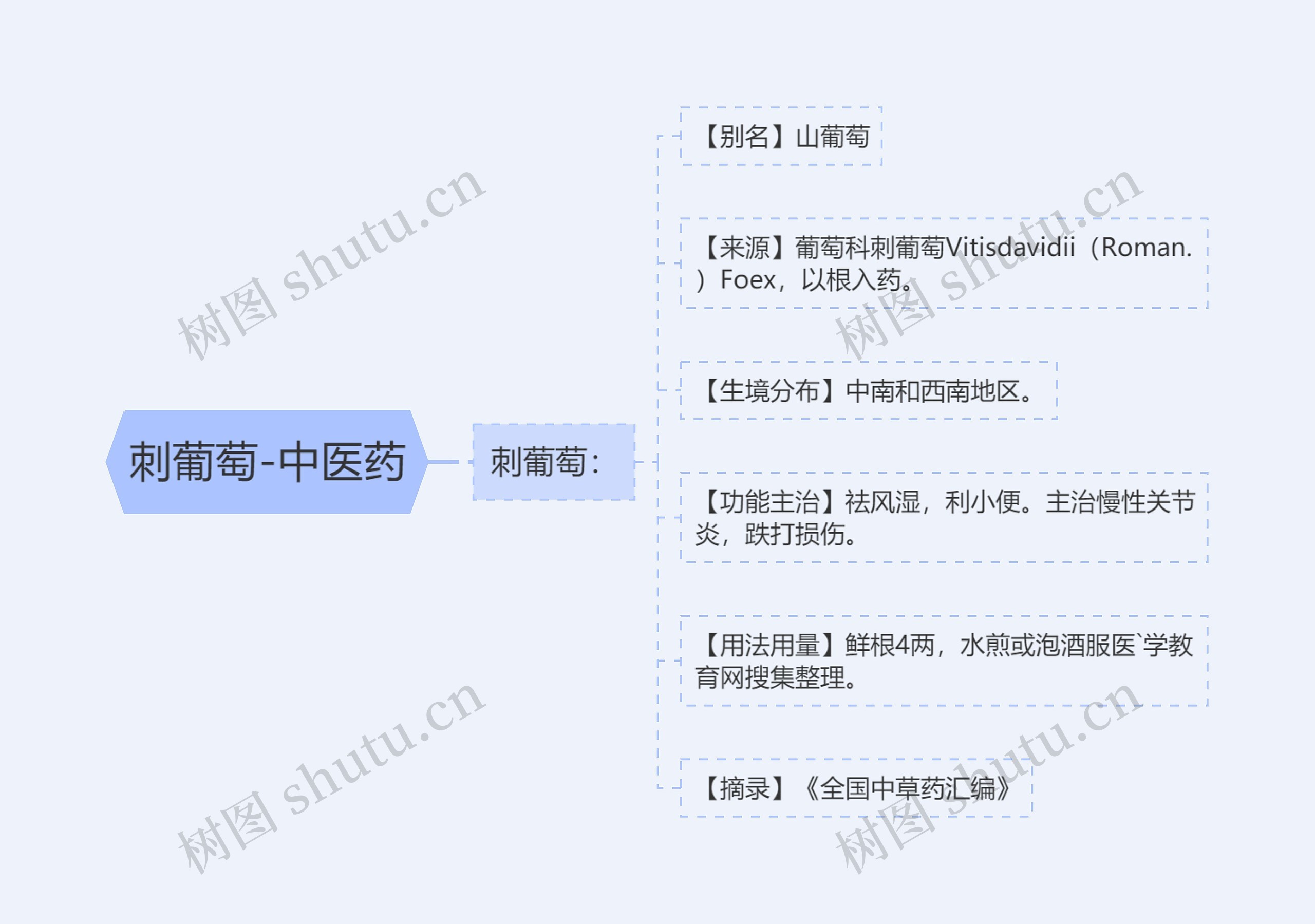 刺葡萄-中医药 刺葡萄-中医药