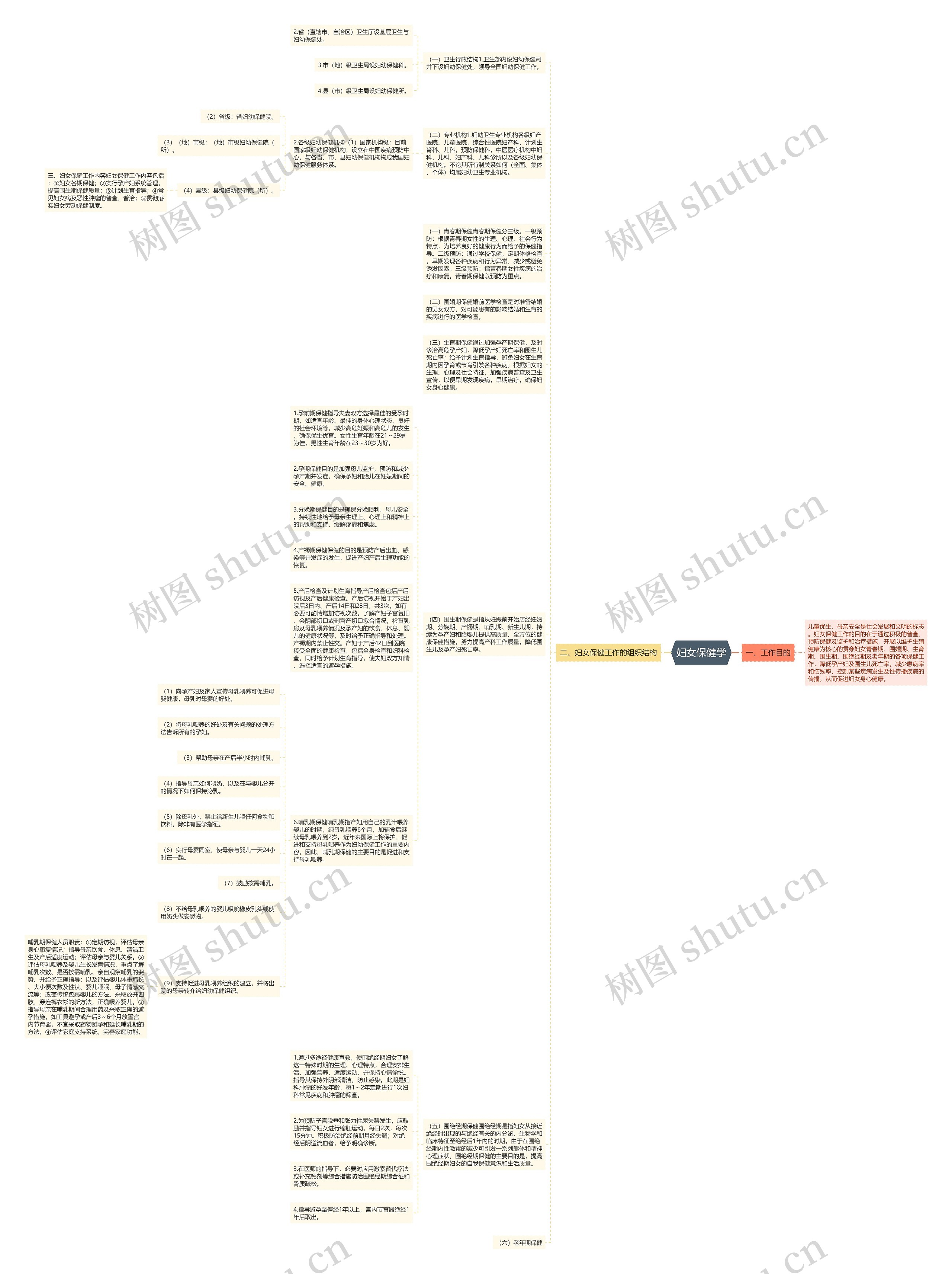 妇女保健学思维导图