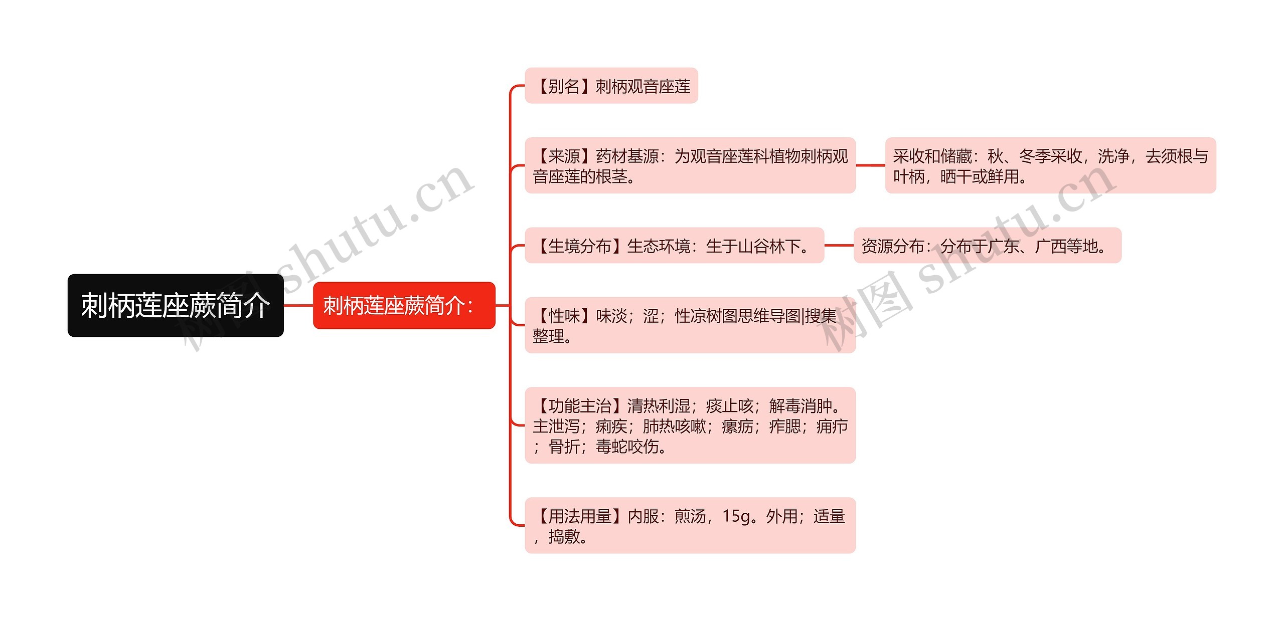 刺柄莲座蕨简介思维导图