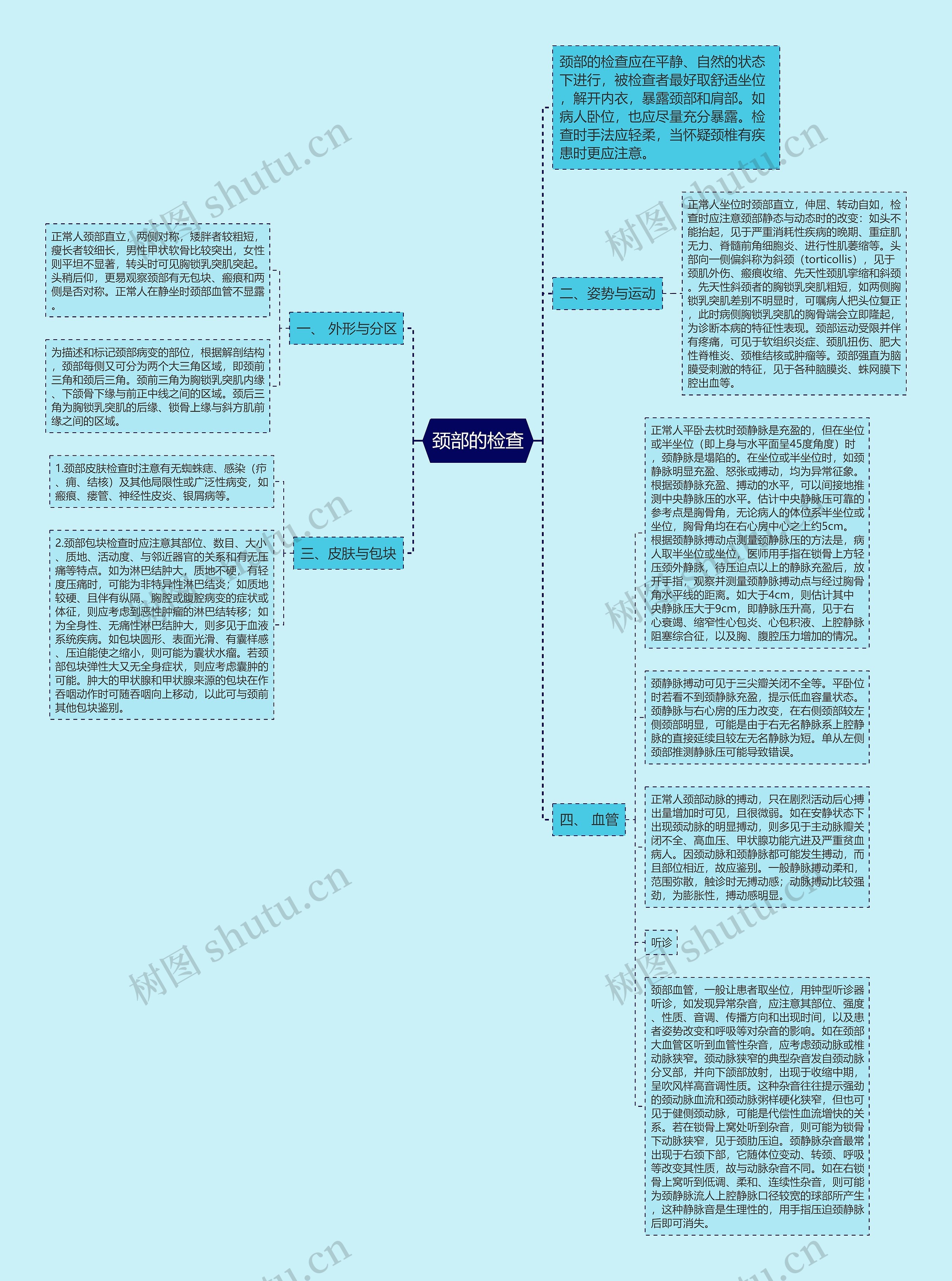 颈部的检查思维导图