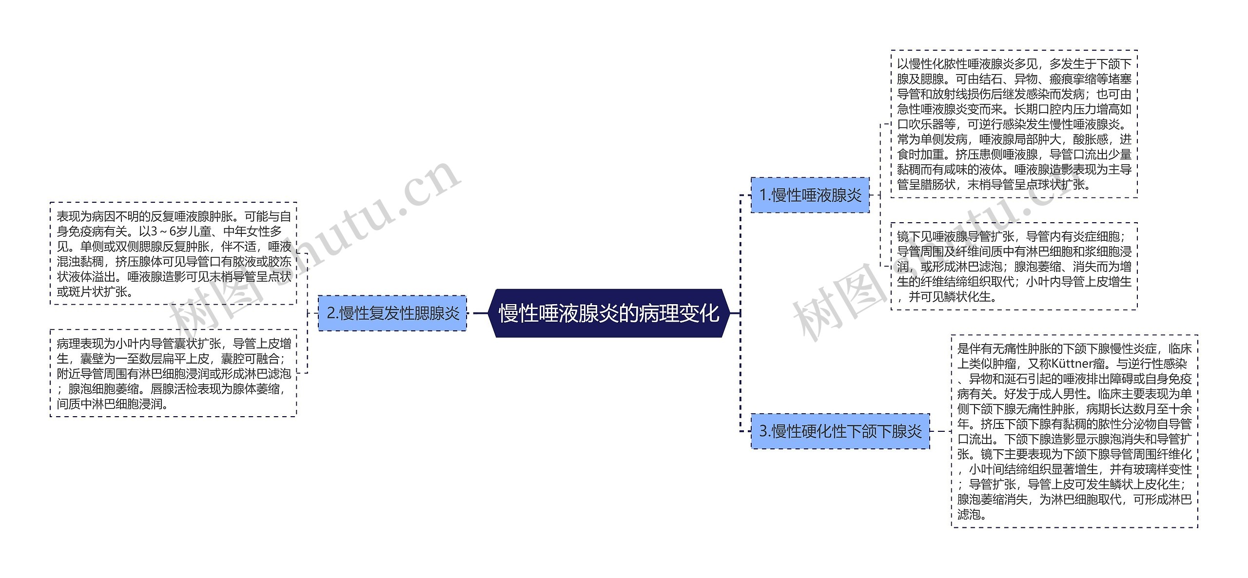 慢性唾液腺炎的病理变化思维导图