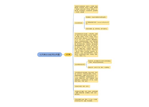 北风草的功能|用法用量