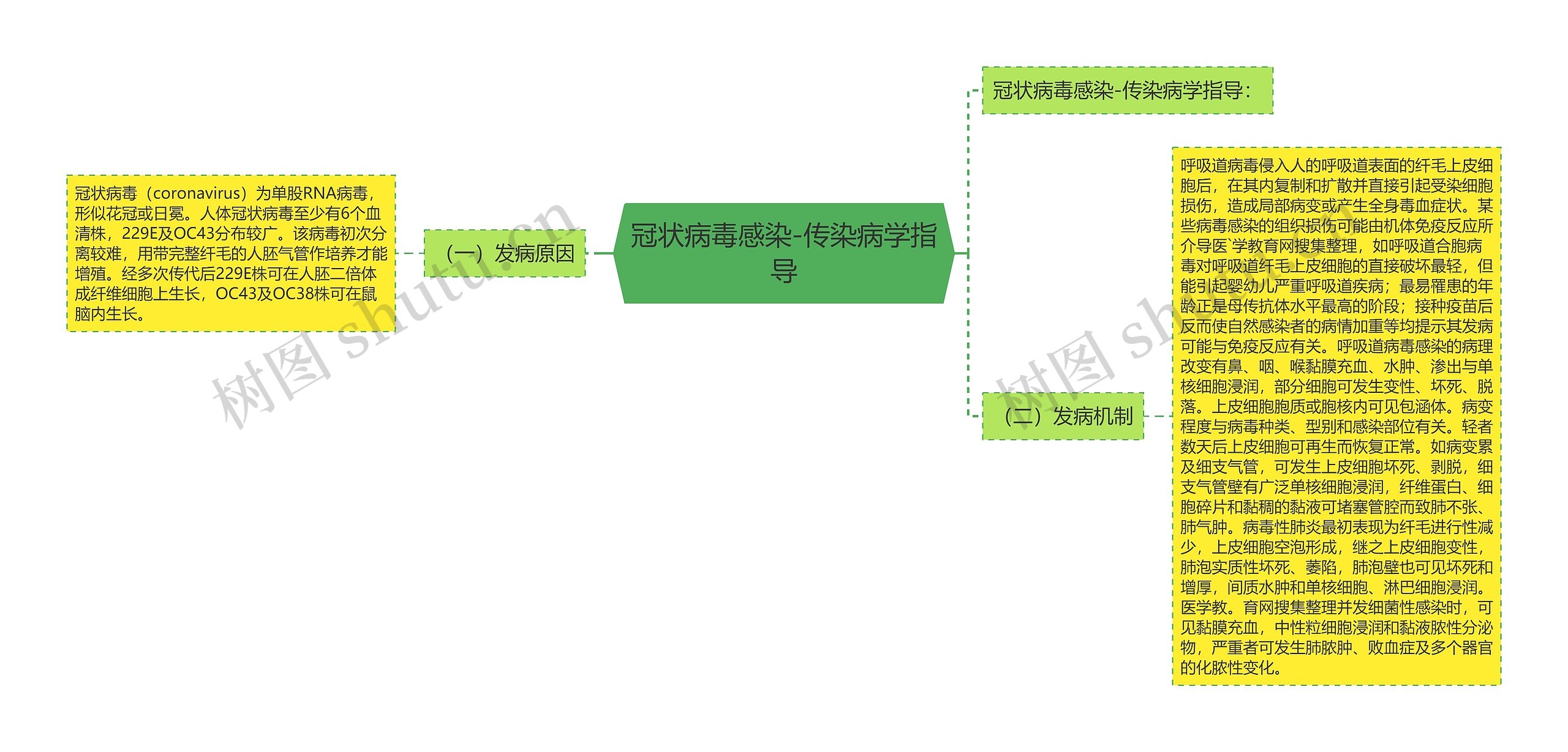 冠状病毒感染-传染病学指导思维导图