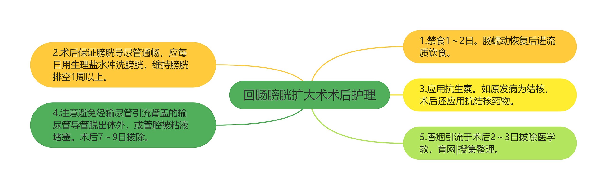 回肠膀胱扩大术术后护理 回肠膀胱扩大术术后护理