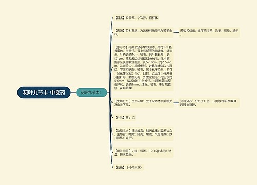 花叶九节木-中医药