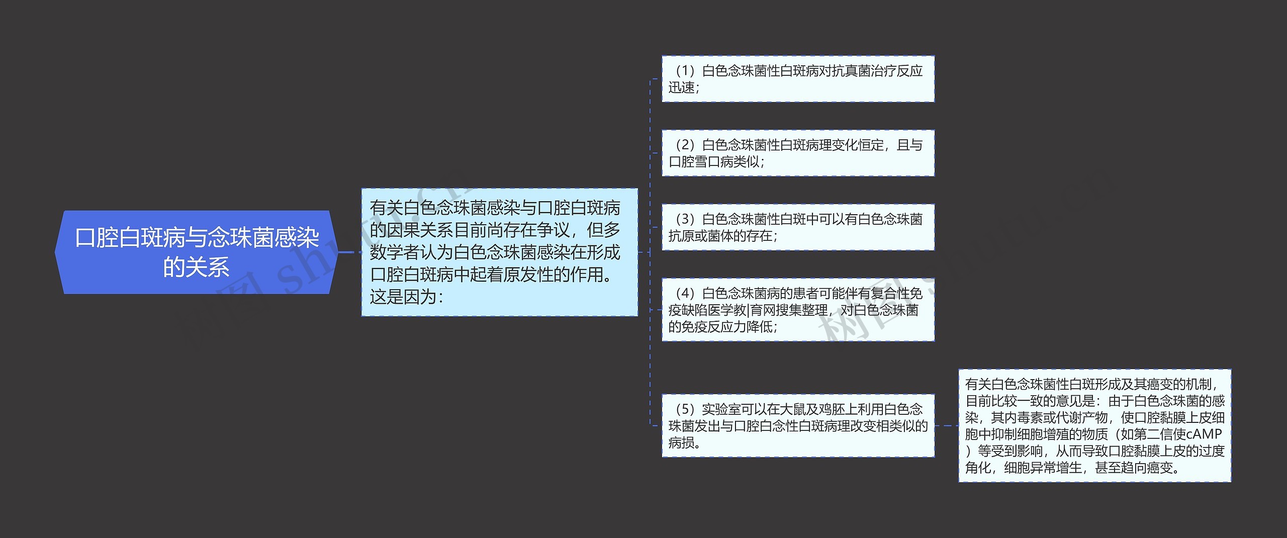 口腔白斑病与念珠菌感染的关系思维导图