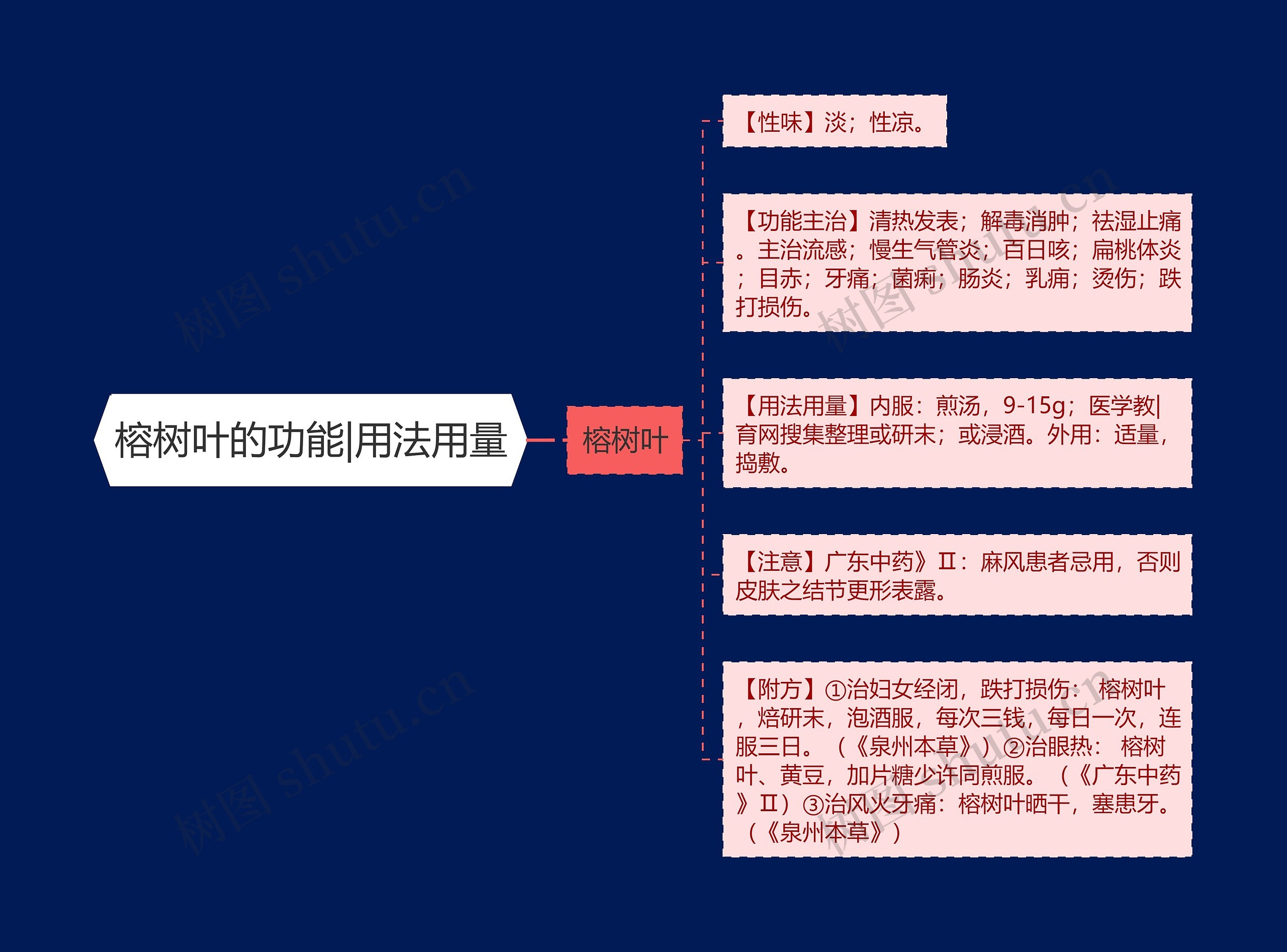 榕树叶的功能|用法用量思维导图