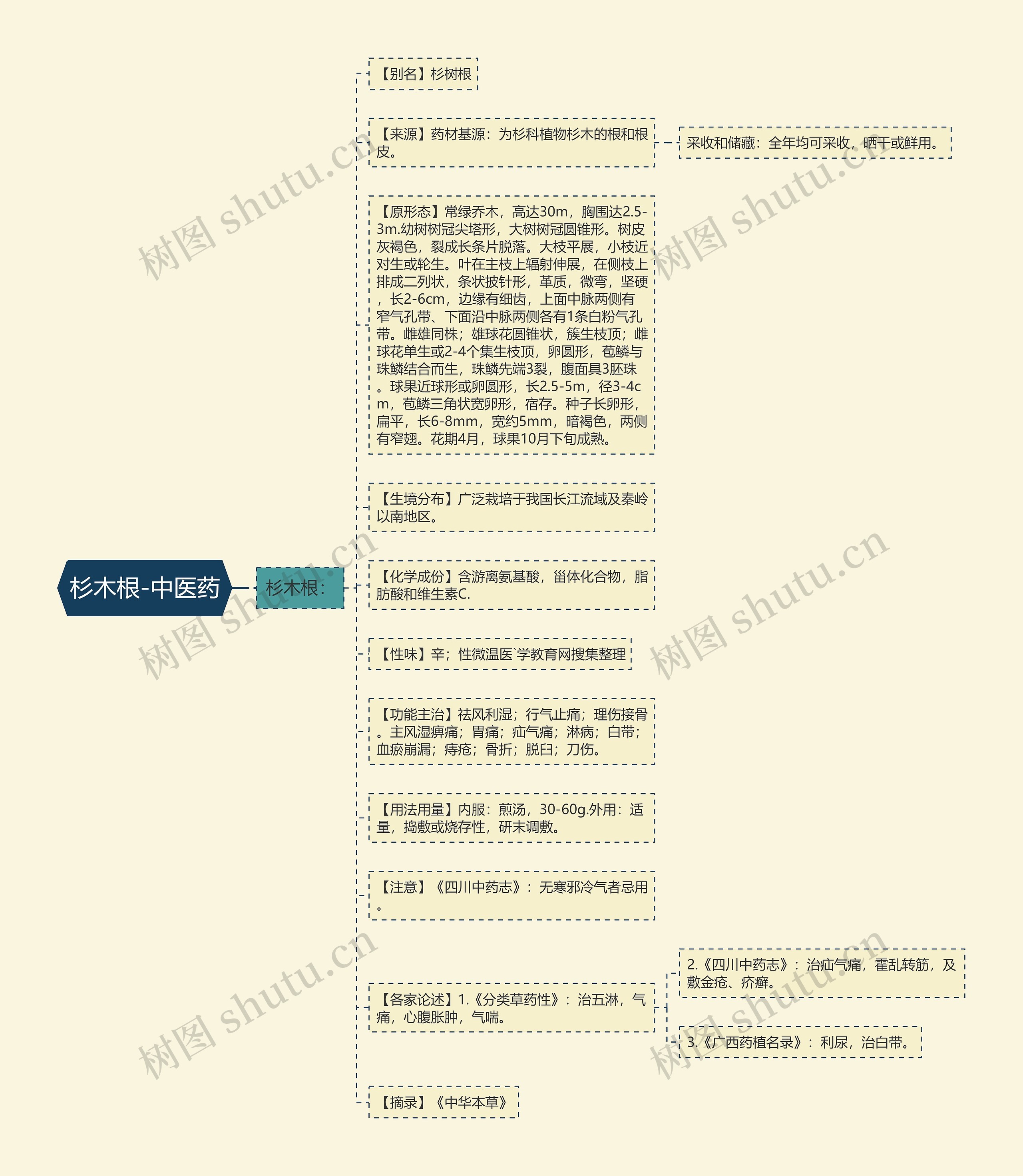 杉木根-中医药思维导图
