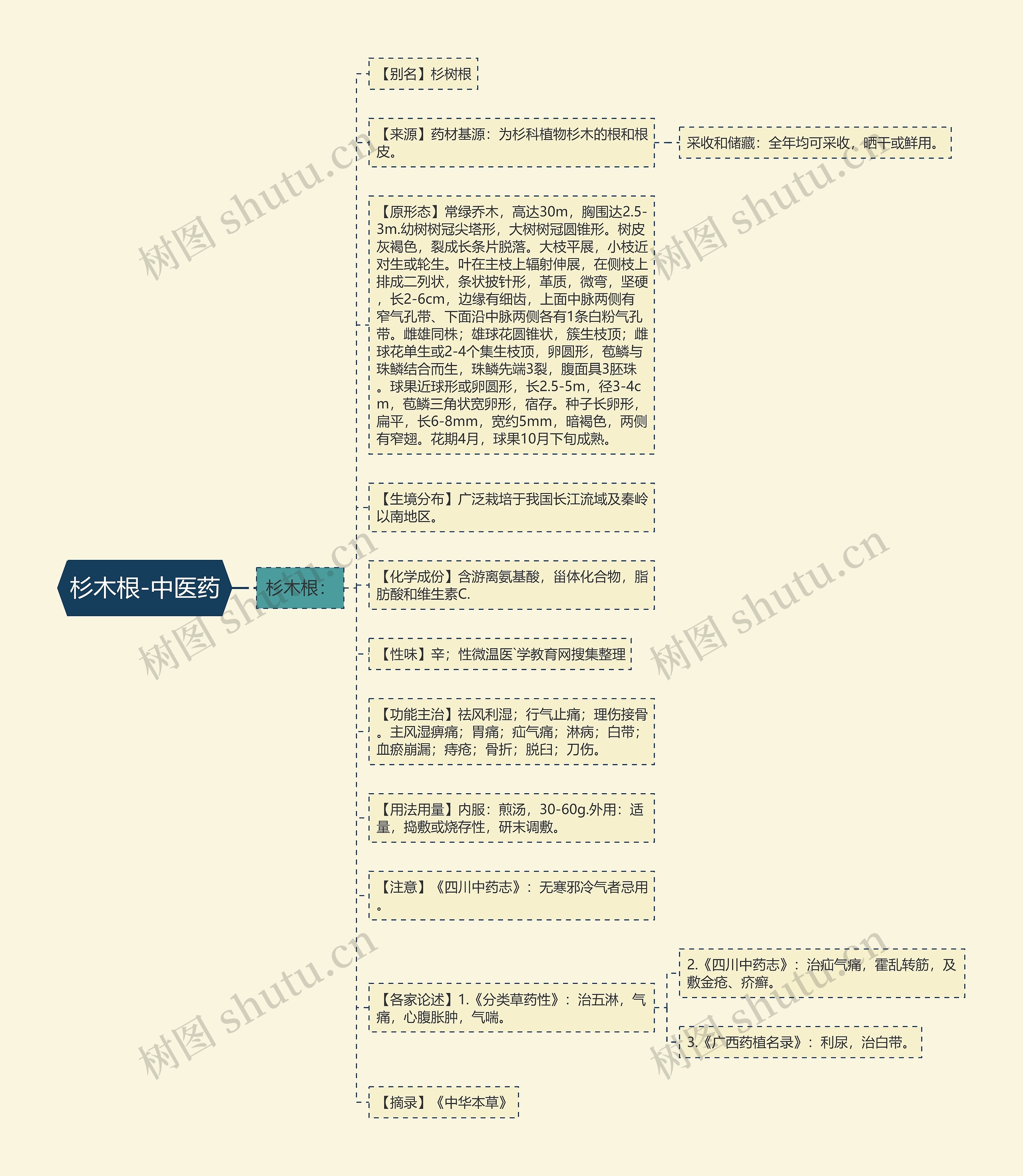 杉木根-中医药 杉木根-中医药