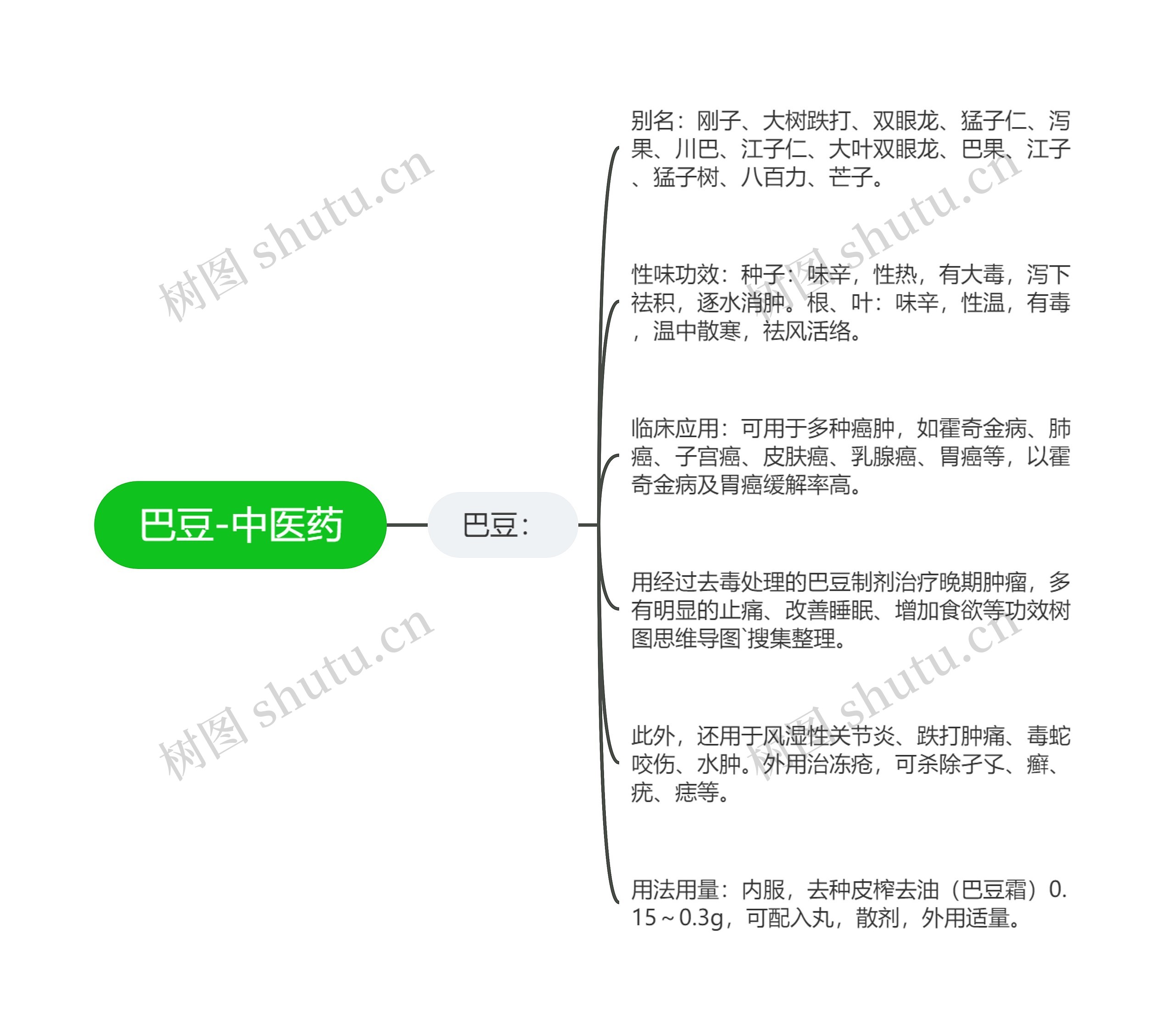 巴豆-中医药思维导图