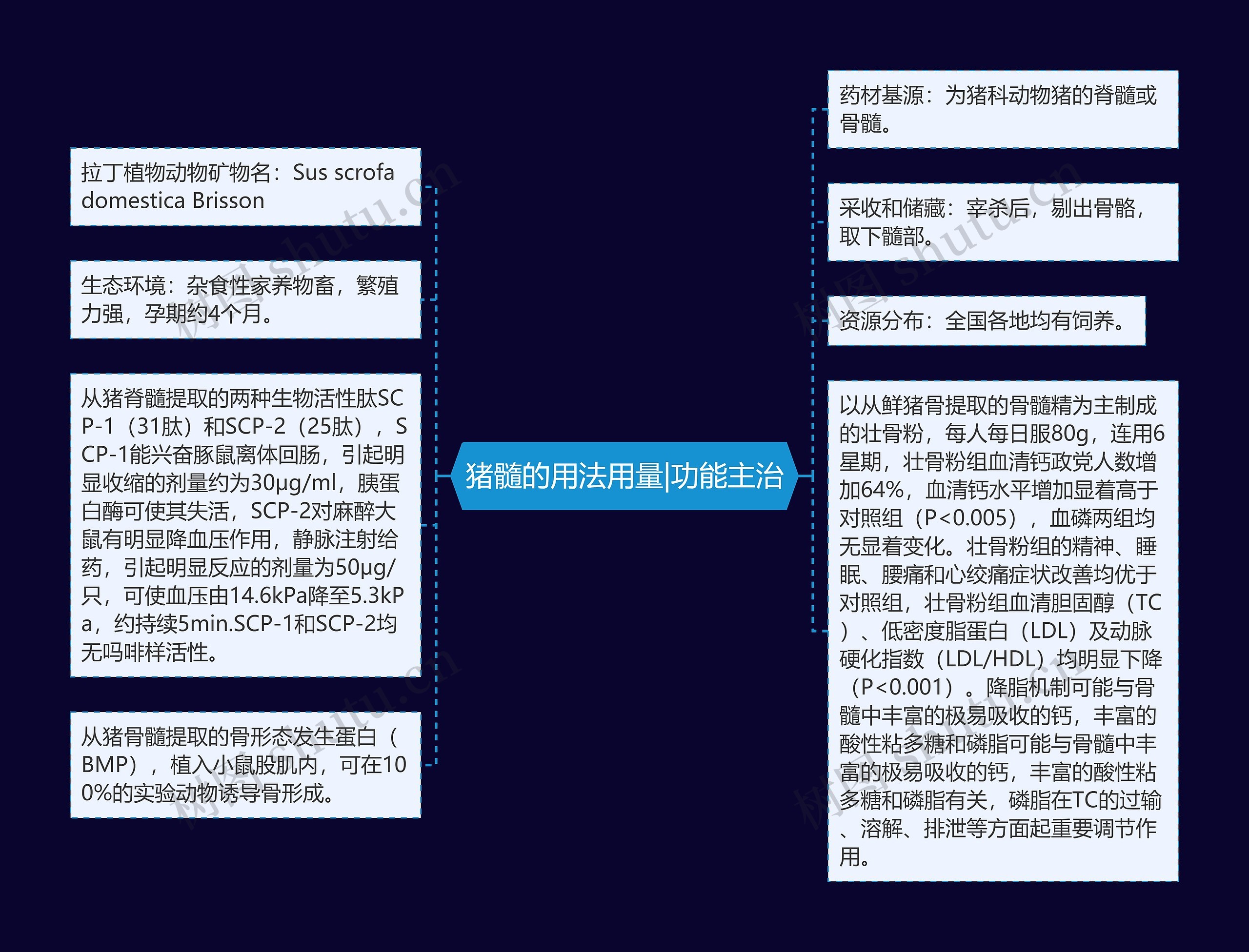 猪髓的用法用量|功能主治思维导图