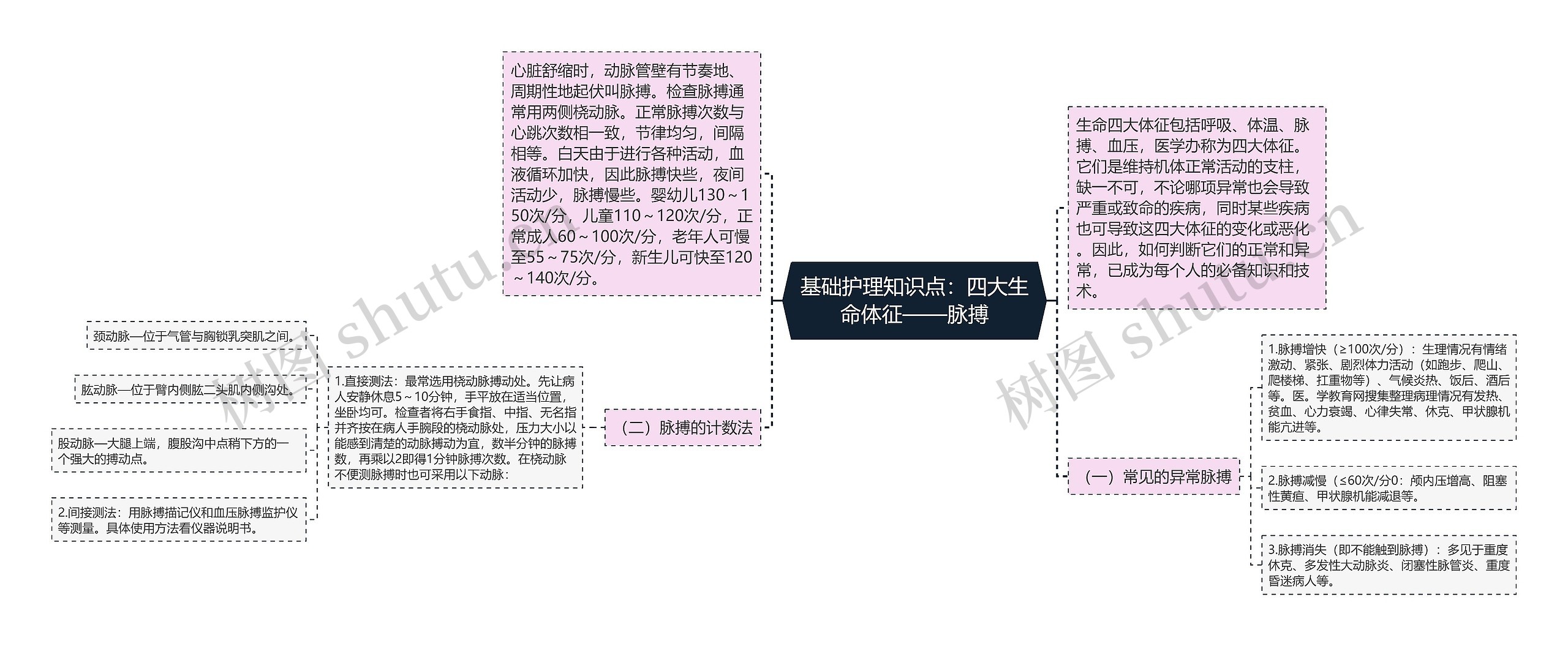 基础护理知识点:四大生命体征——脉搏 基础护理知识点:四大生命体征——脉搏
