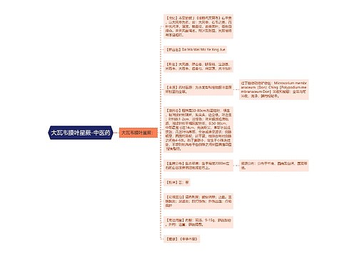 大瓦韦膜叶星蕨-中医药