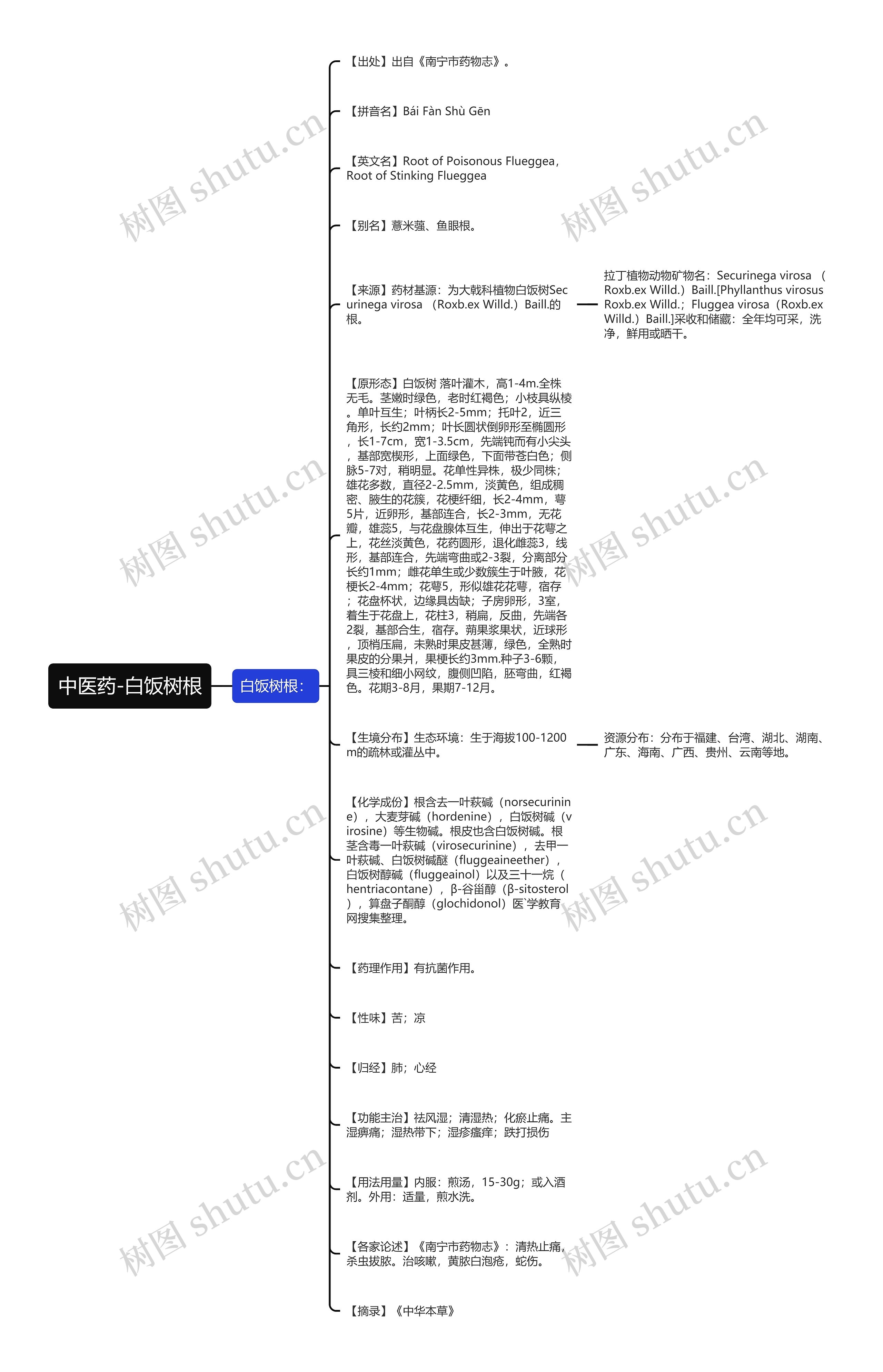 中医药-白饭树根思维导图