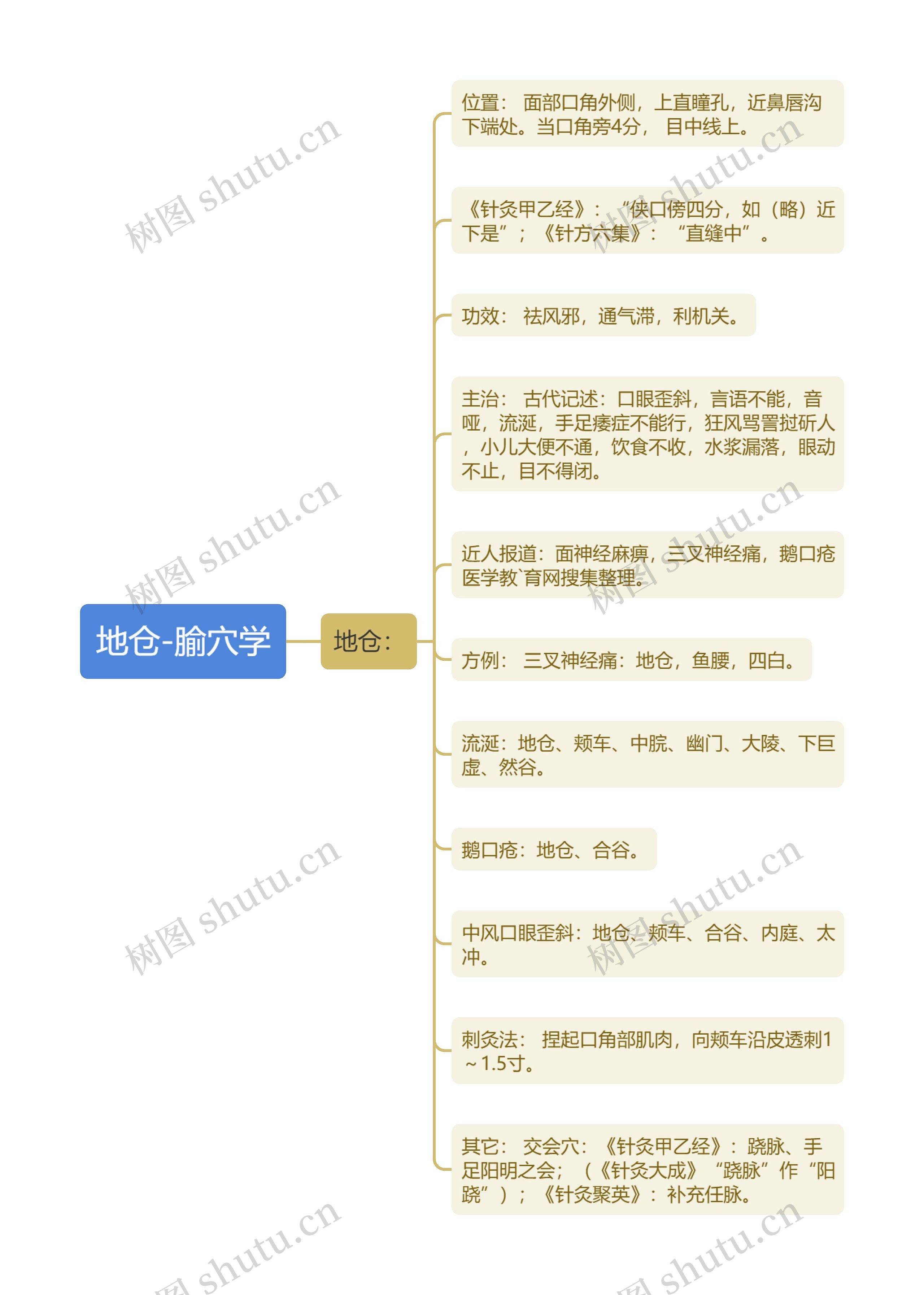 地仓-腧穴学思维导图