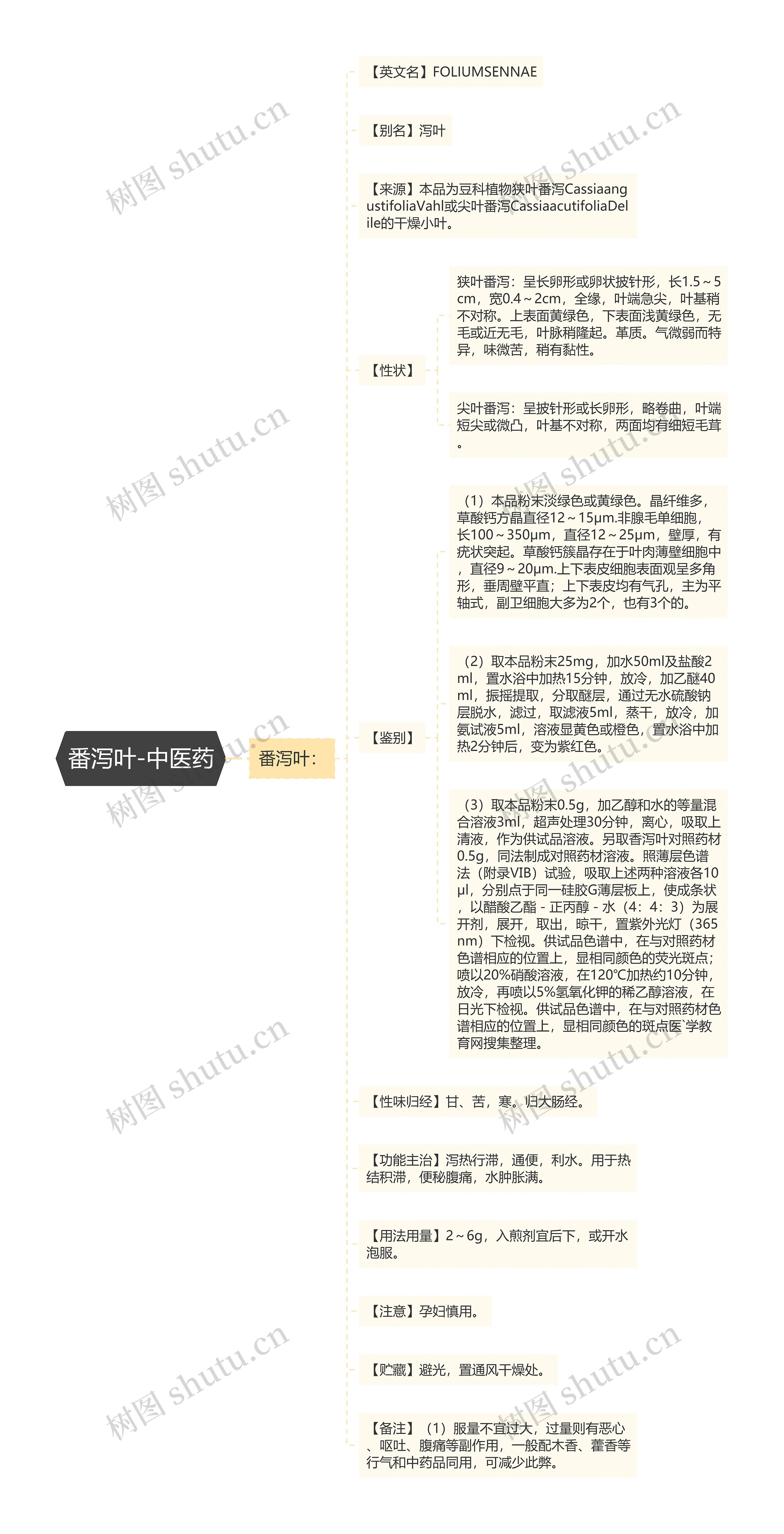 番泻叶-中医药思维导图