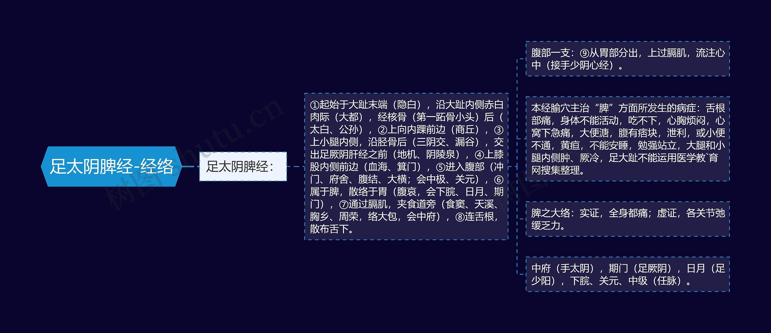 足太阴脾经-经络思维导图