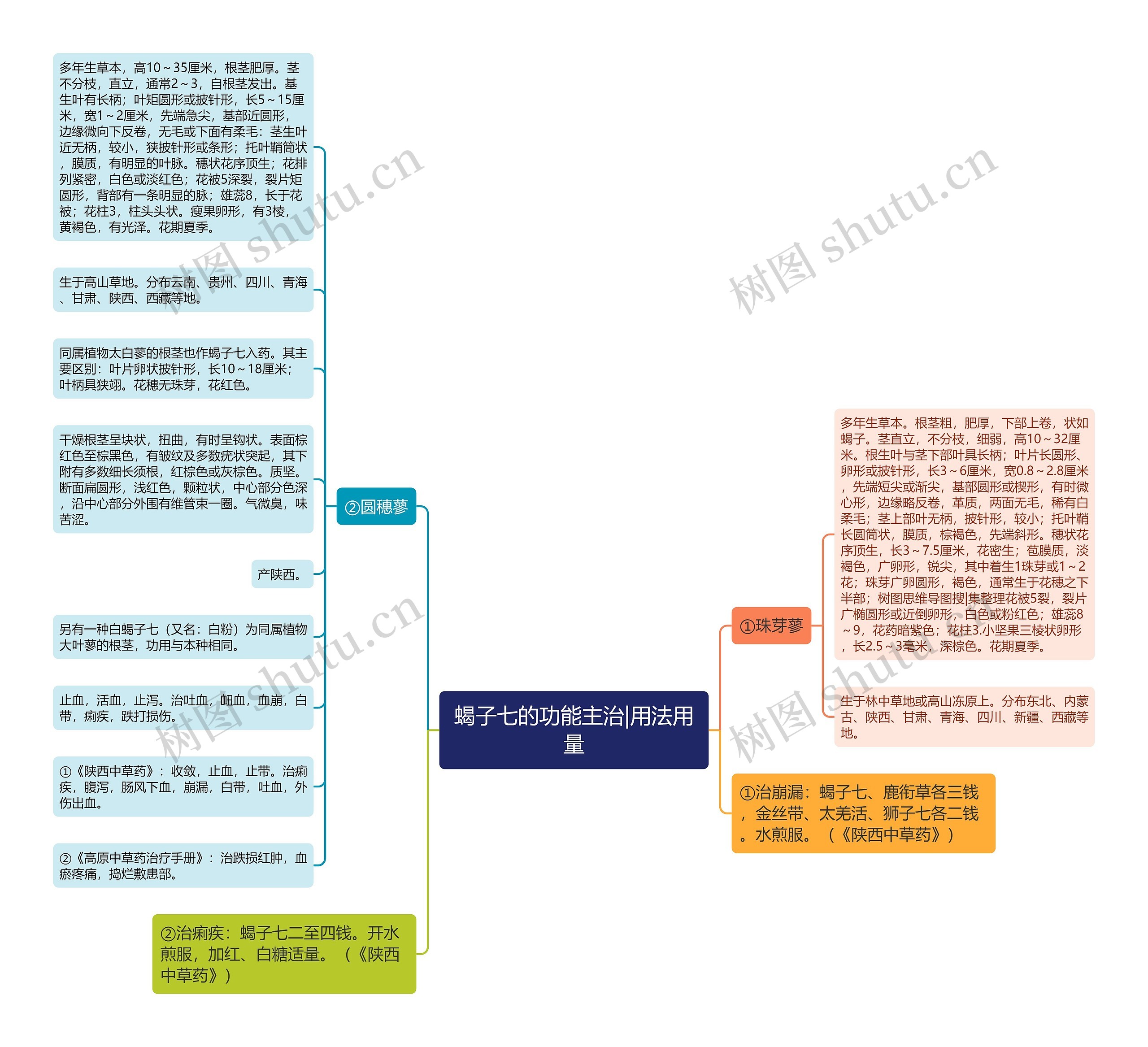 蝎子七的功能主治|用法用量思维导图