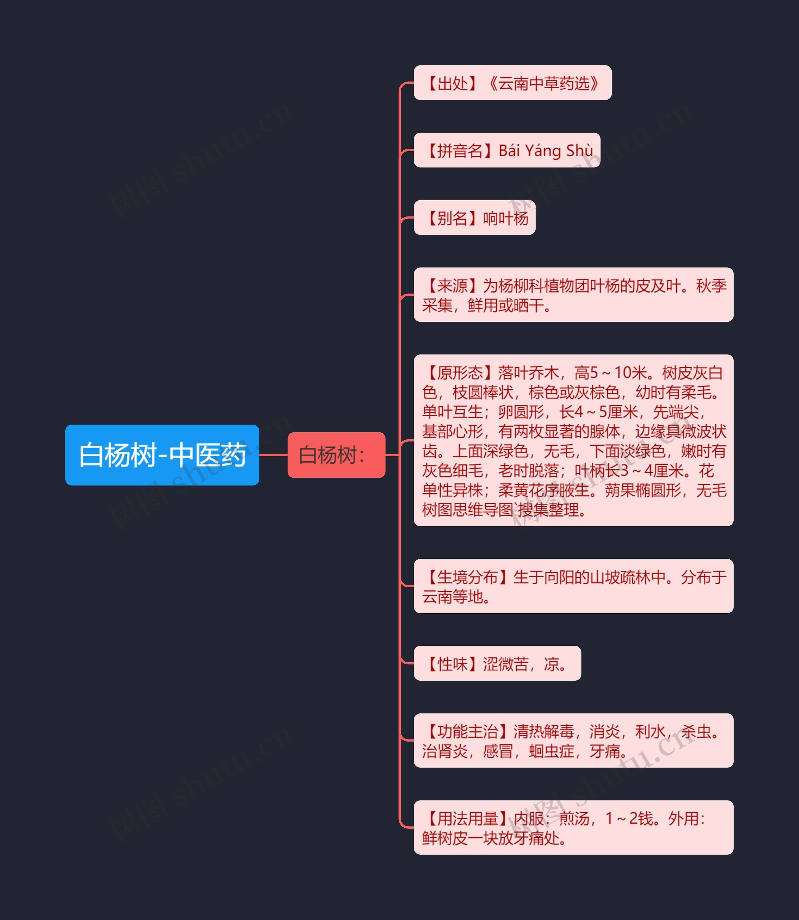 白杨树-中医药 白杨树-中医药