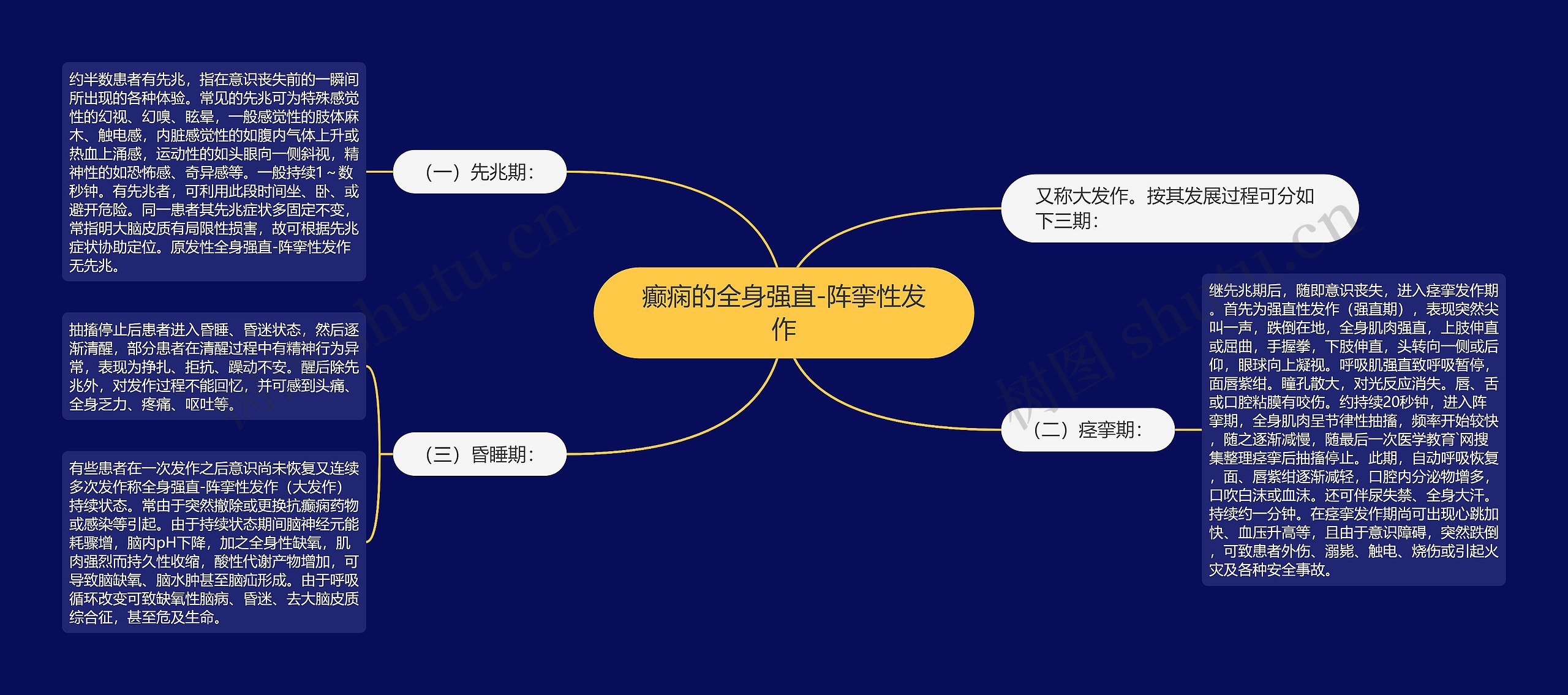 癫痫的全身强直-阵挛性发作思维导图