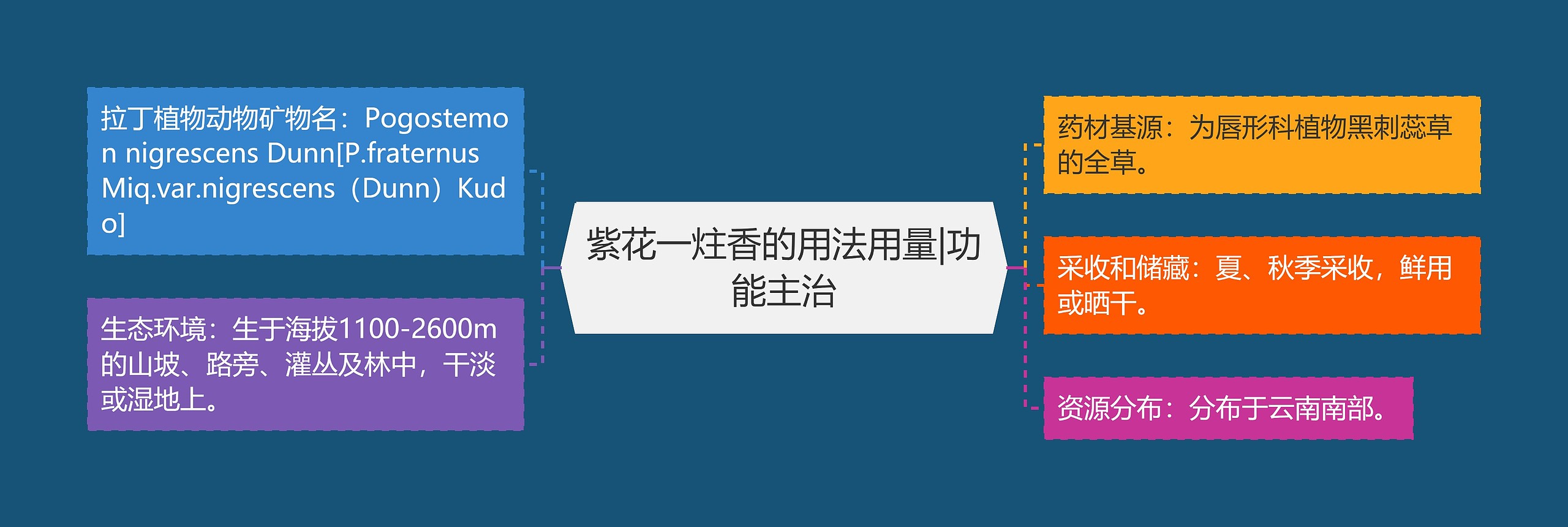 紫花一炷香的用法用量|功能主治思维导图