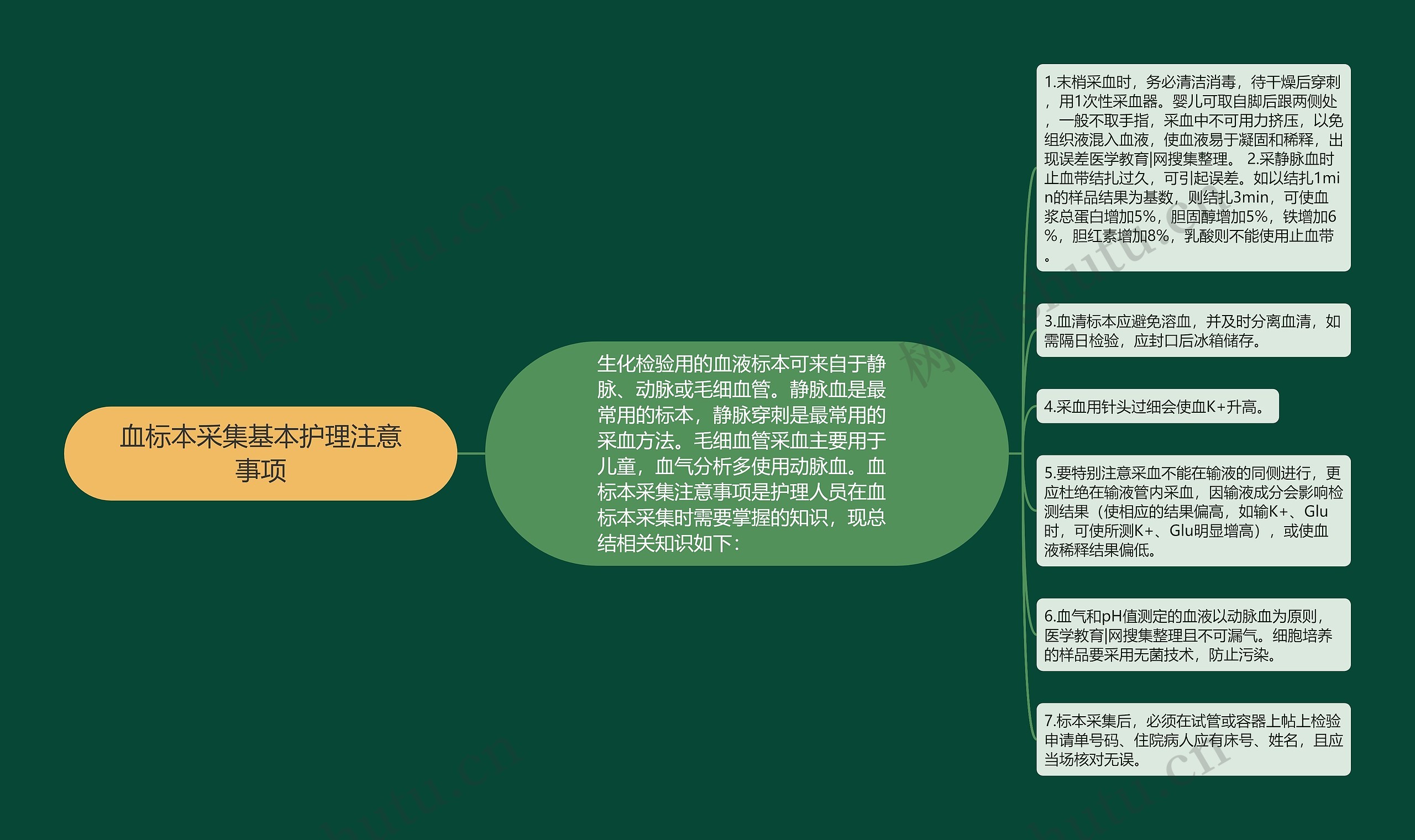 血标本采集基本护理注意事项