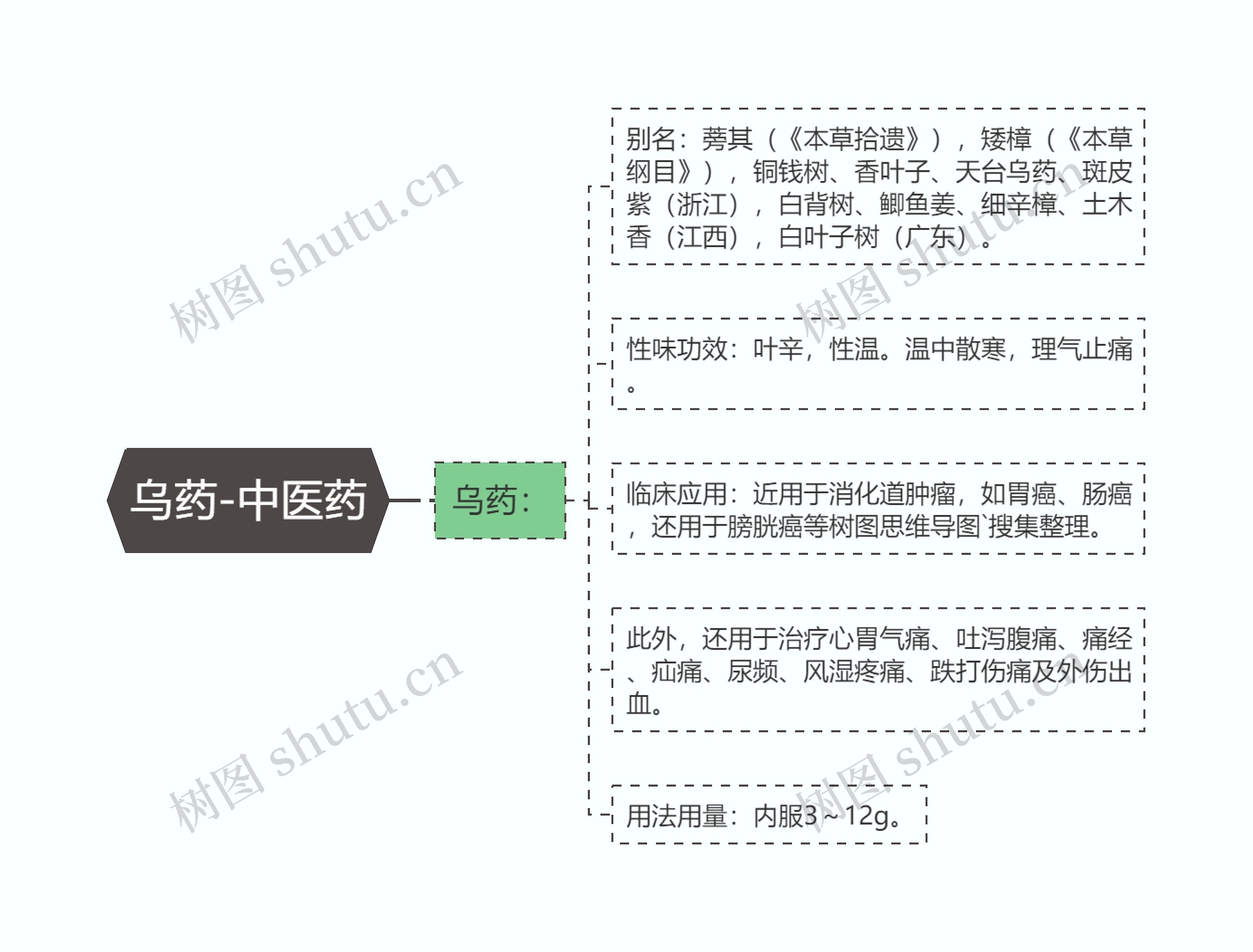 乌药-中医药 乌药-中医药
