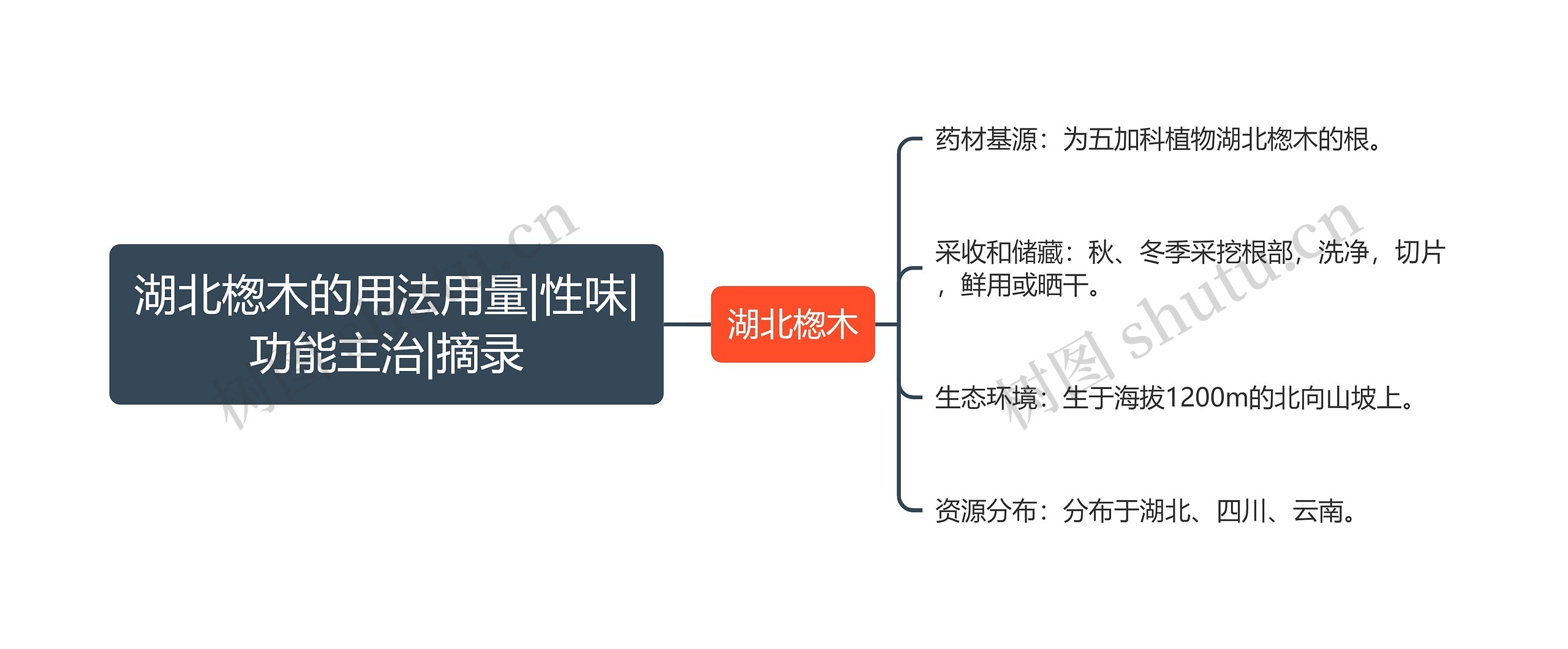 湖北楤木的用法用量|性味|功能主治|摘录思维导图