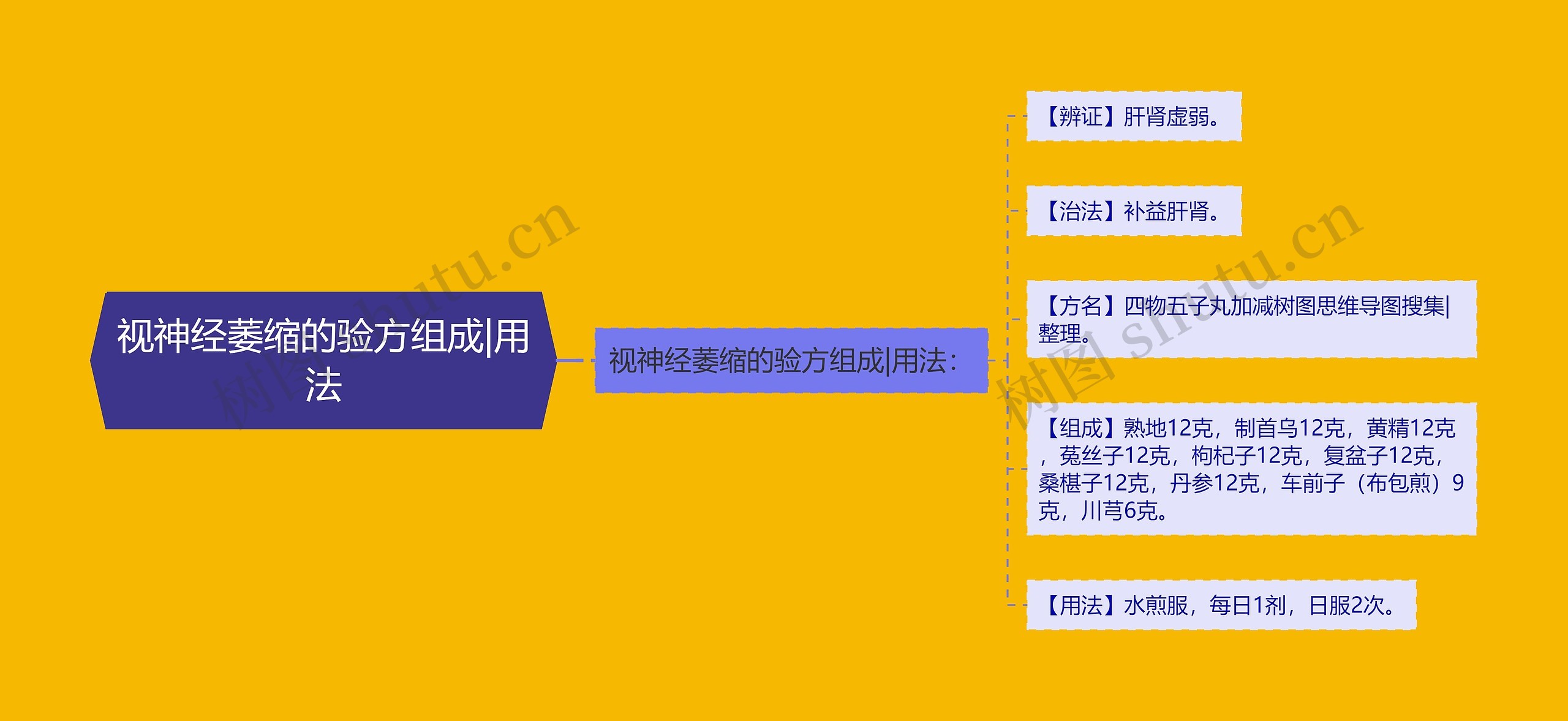 视神经萎缩的验方组成|用法思维导图