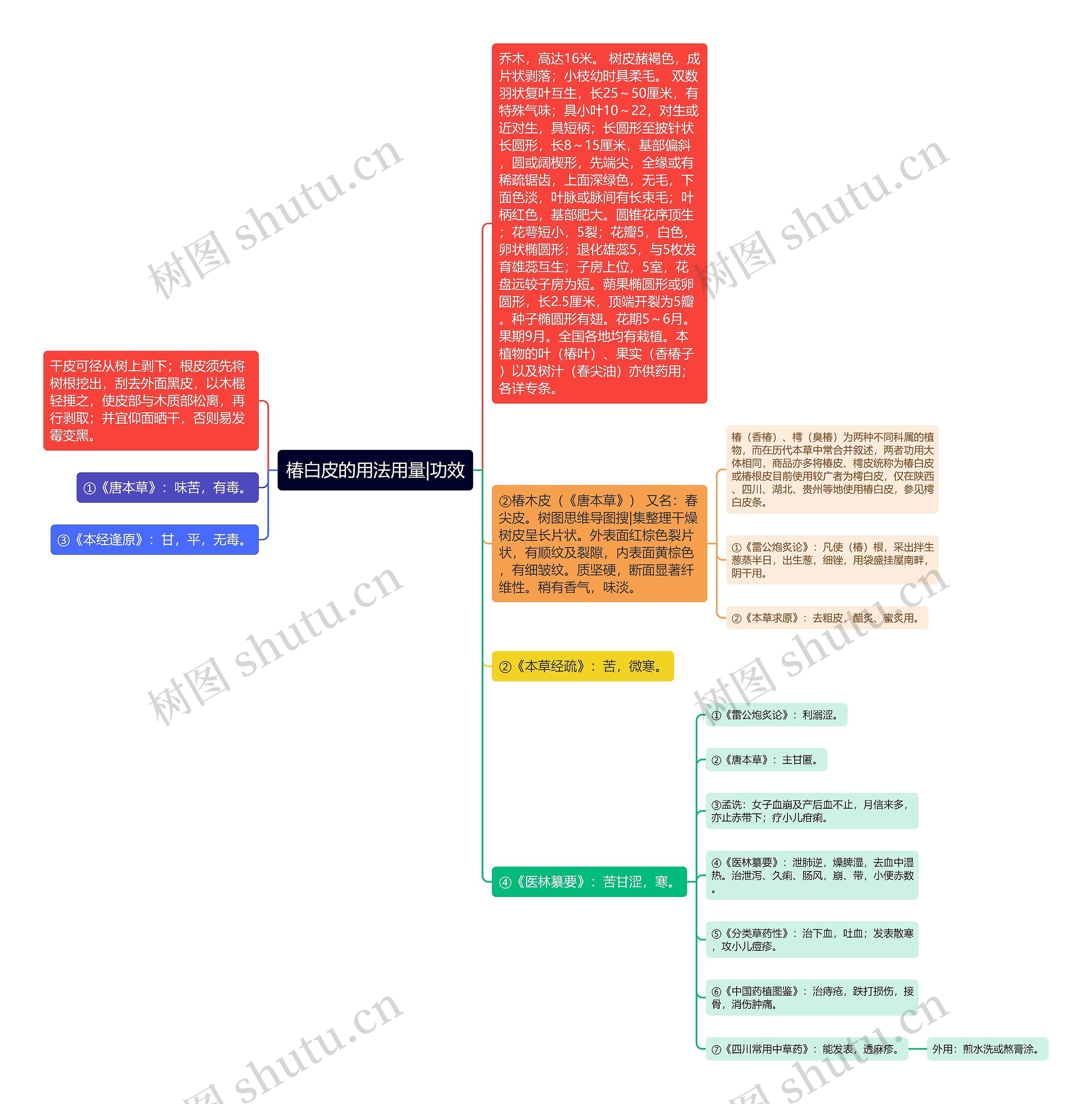椿白皮的用法用量|功效思维导图