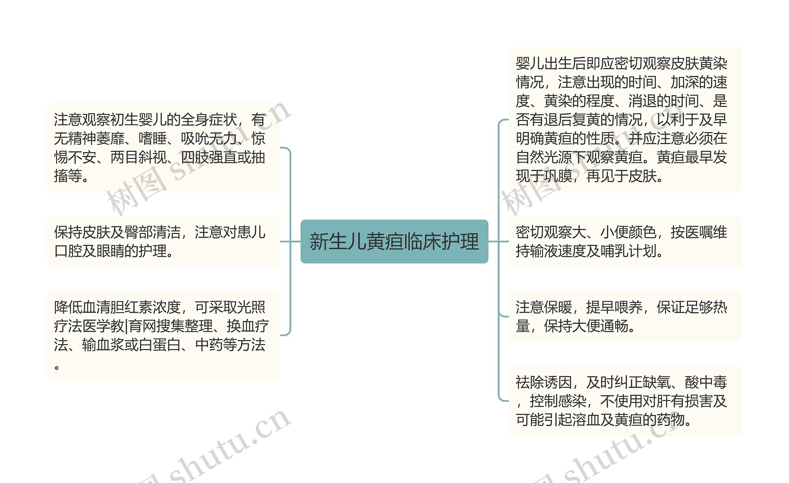 新生儿黄疸临床护理思维导图