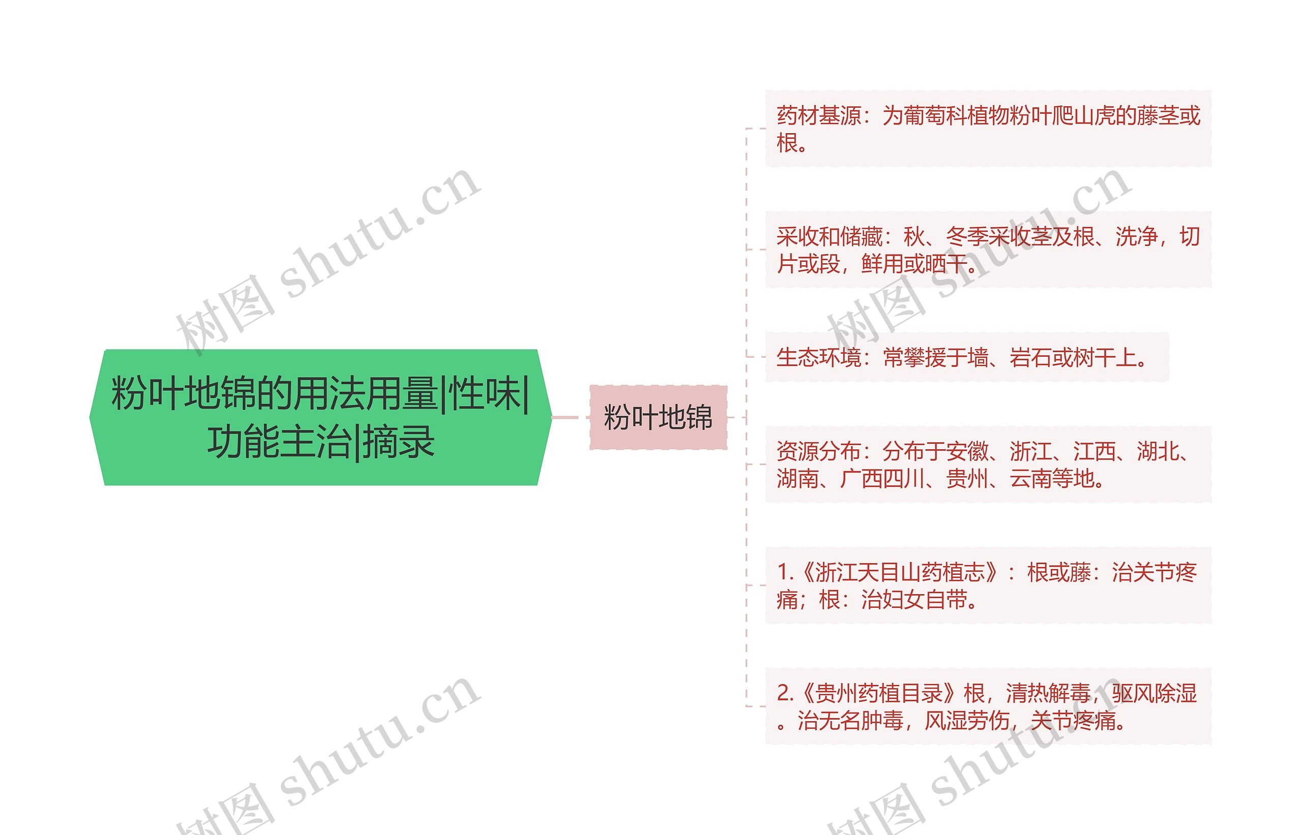 粉叶地锦的用法用量|性味|功能主治|摘录思维导图