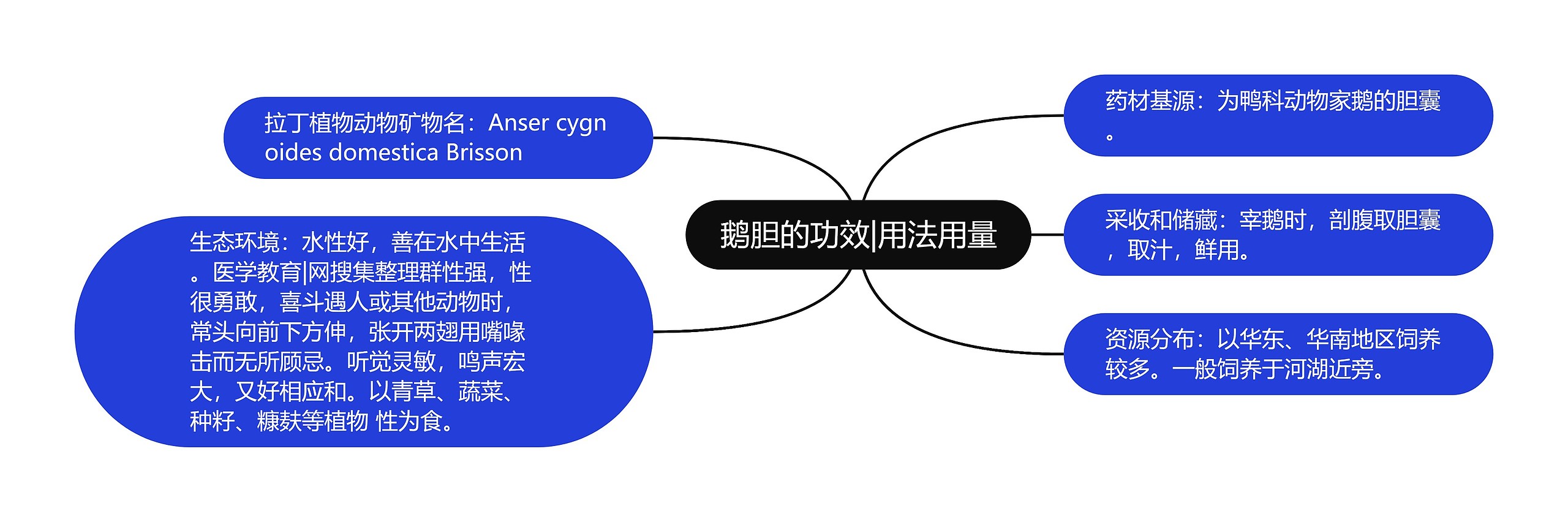 鹅胆的功效|用法用量思维导图