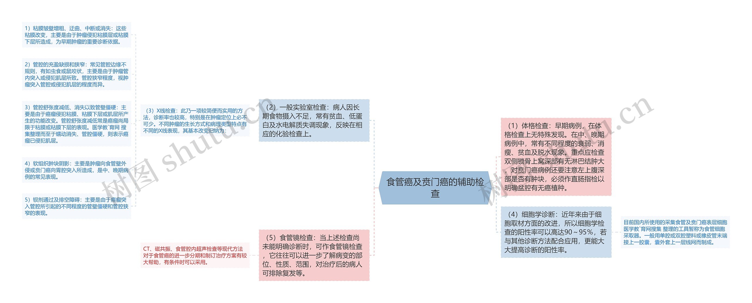 食管癌及贲门癌的辅助检查思维导图