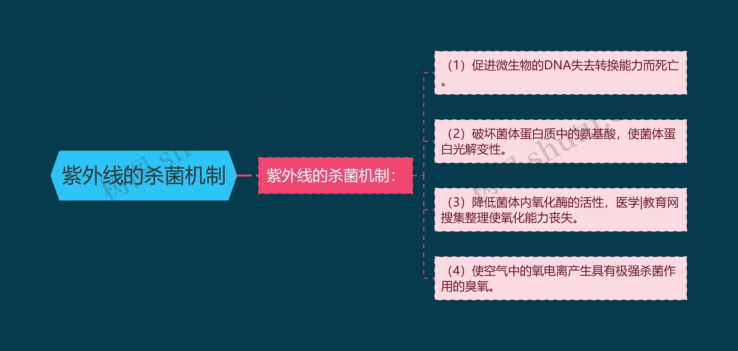 紫外线的杀菌机制 紫外线的杀菌机制