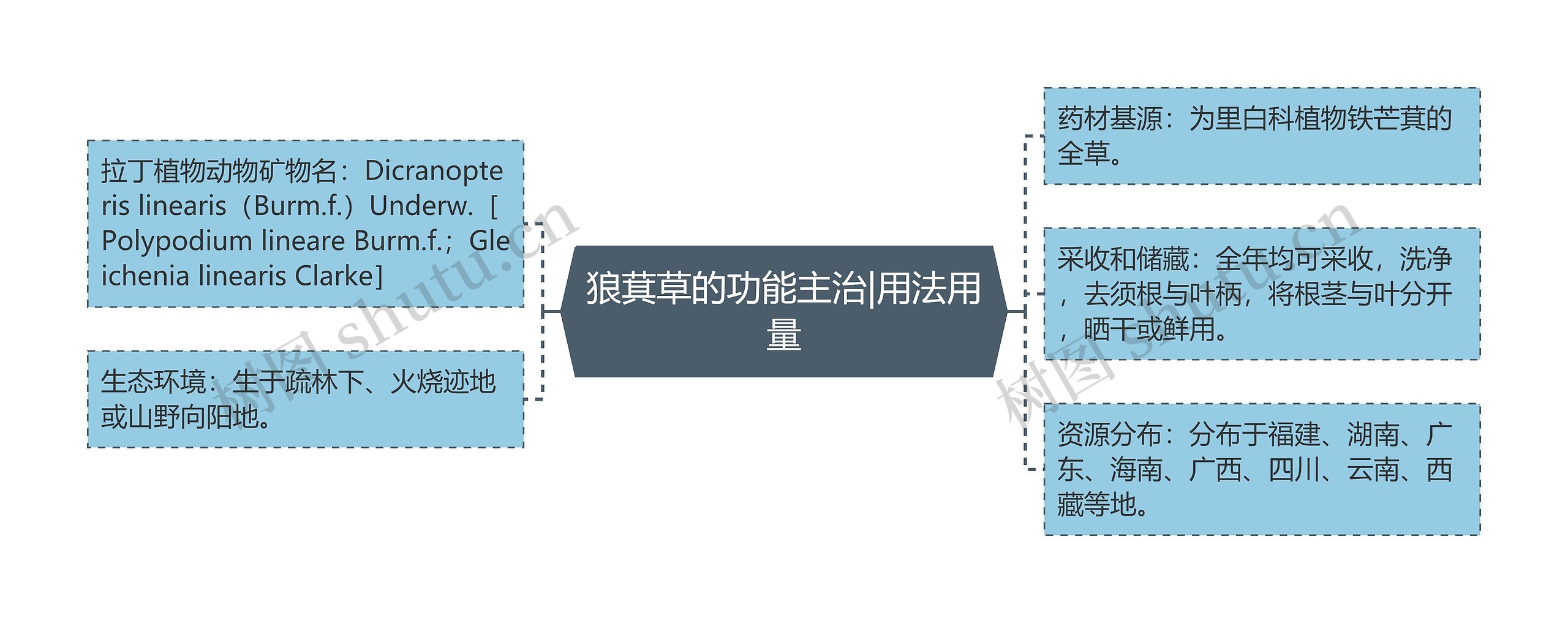 狼萁草的功能主治|用法用量