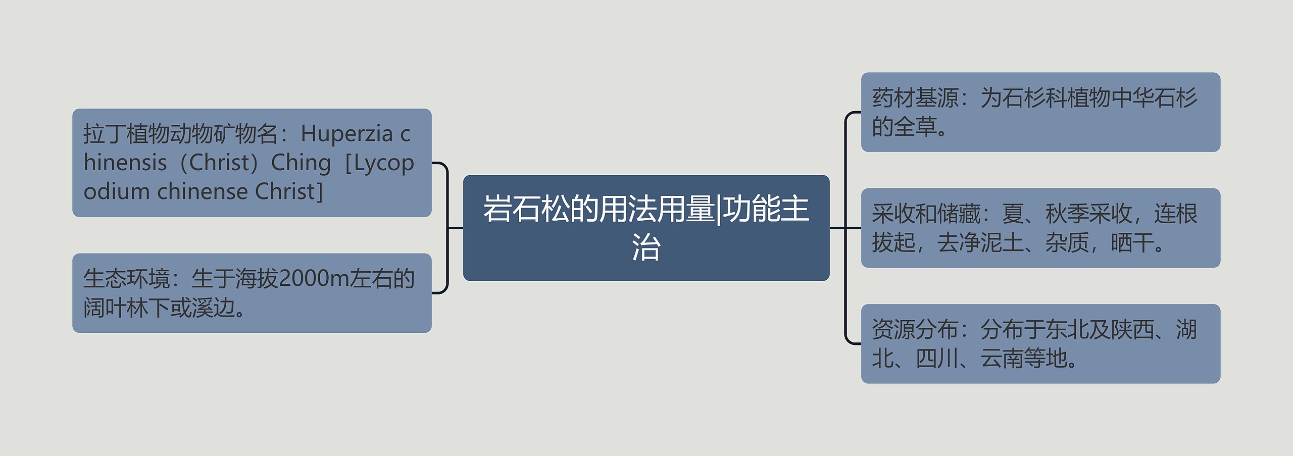 岩石松的用法用量|功能主治思维导图