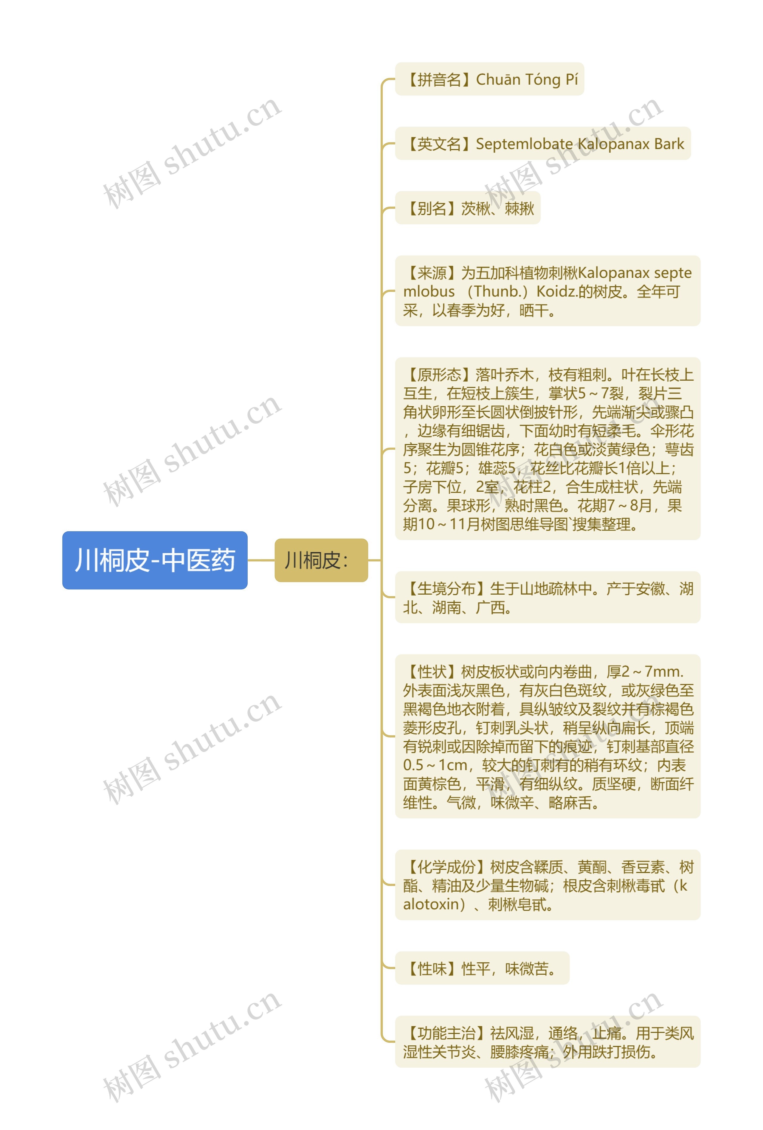 川桐皮-中医药思维导图