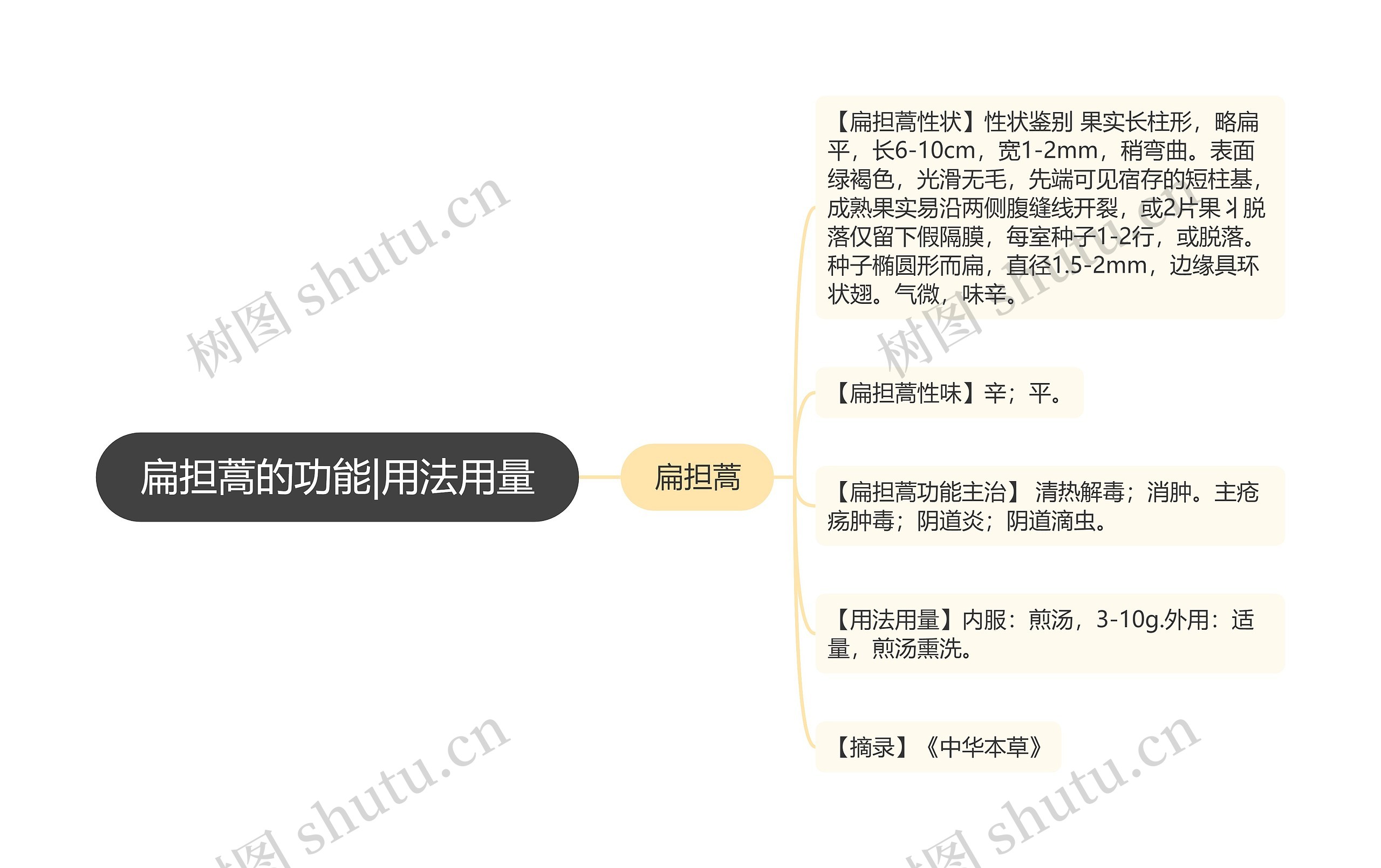 扁担蒿的功能|用法用量思维导图