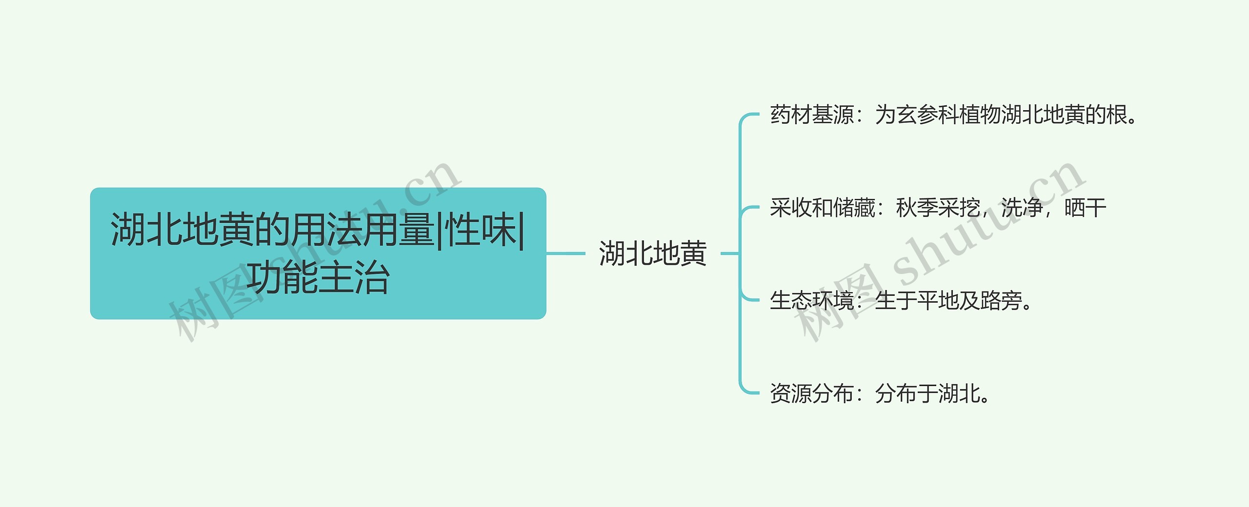 湖北地黄的用法用量|性味|功能主治思维导图