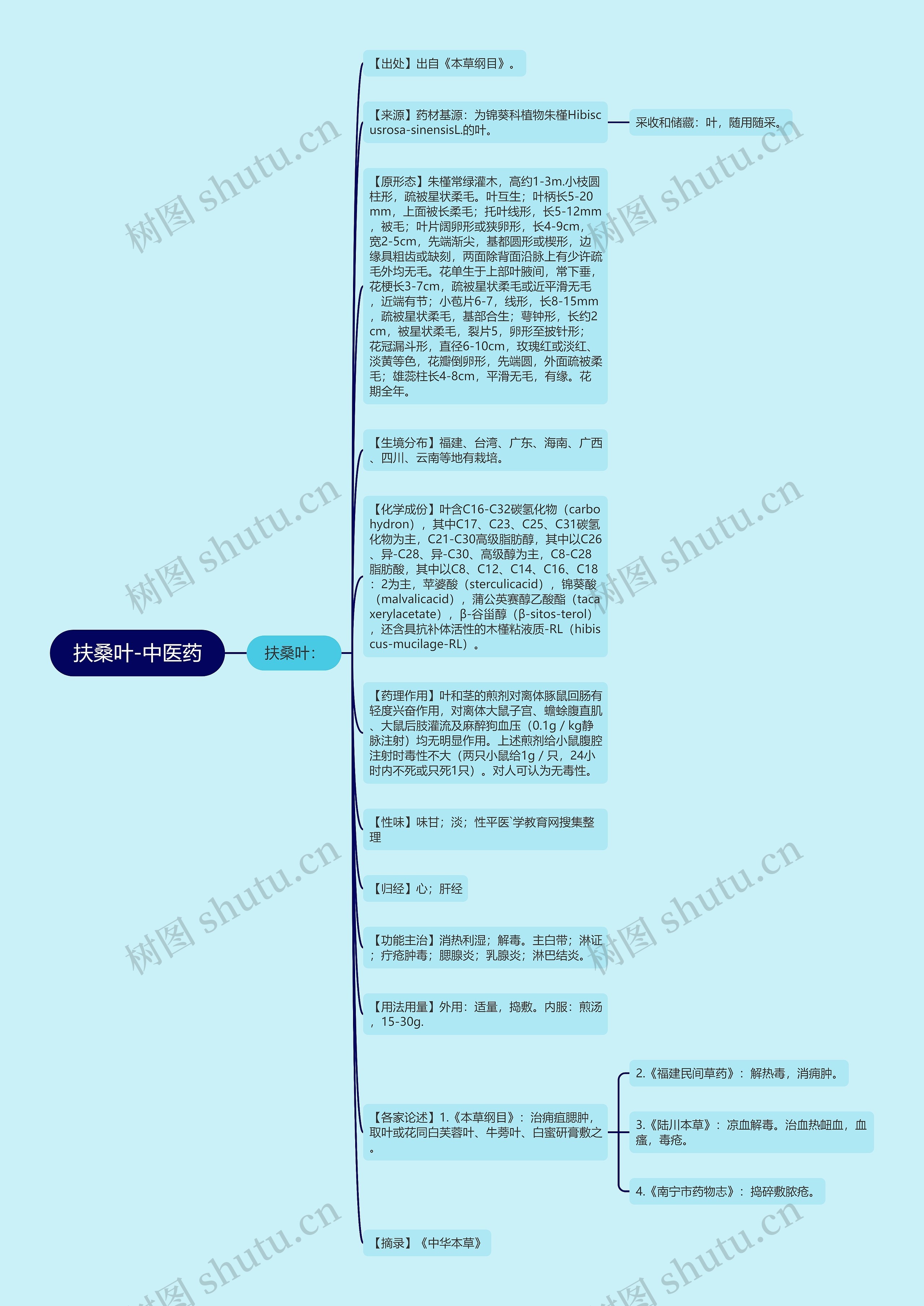 扶桑叶-中医药思维导图