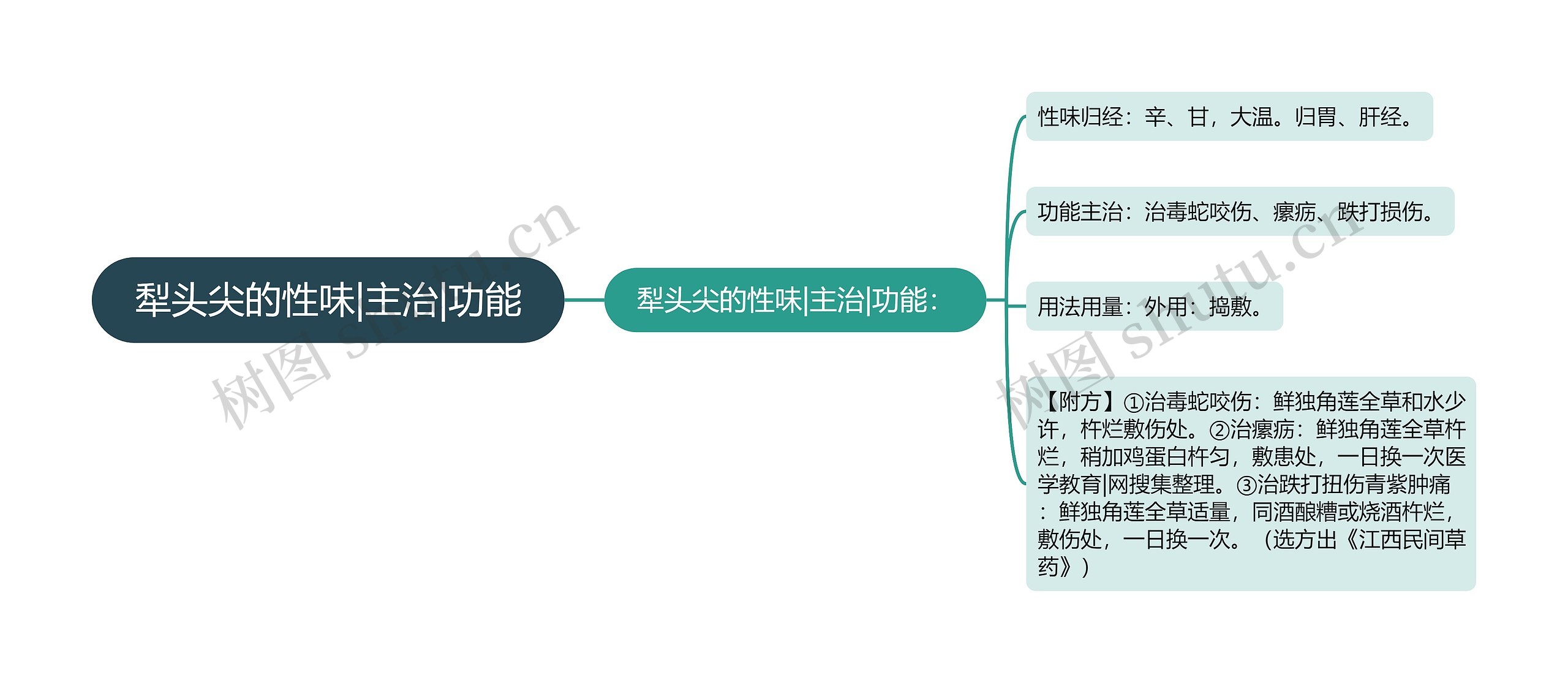 犁头尖的性味|主治|功能思维导图