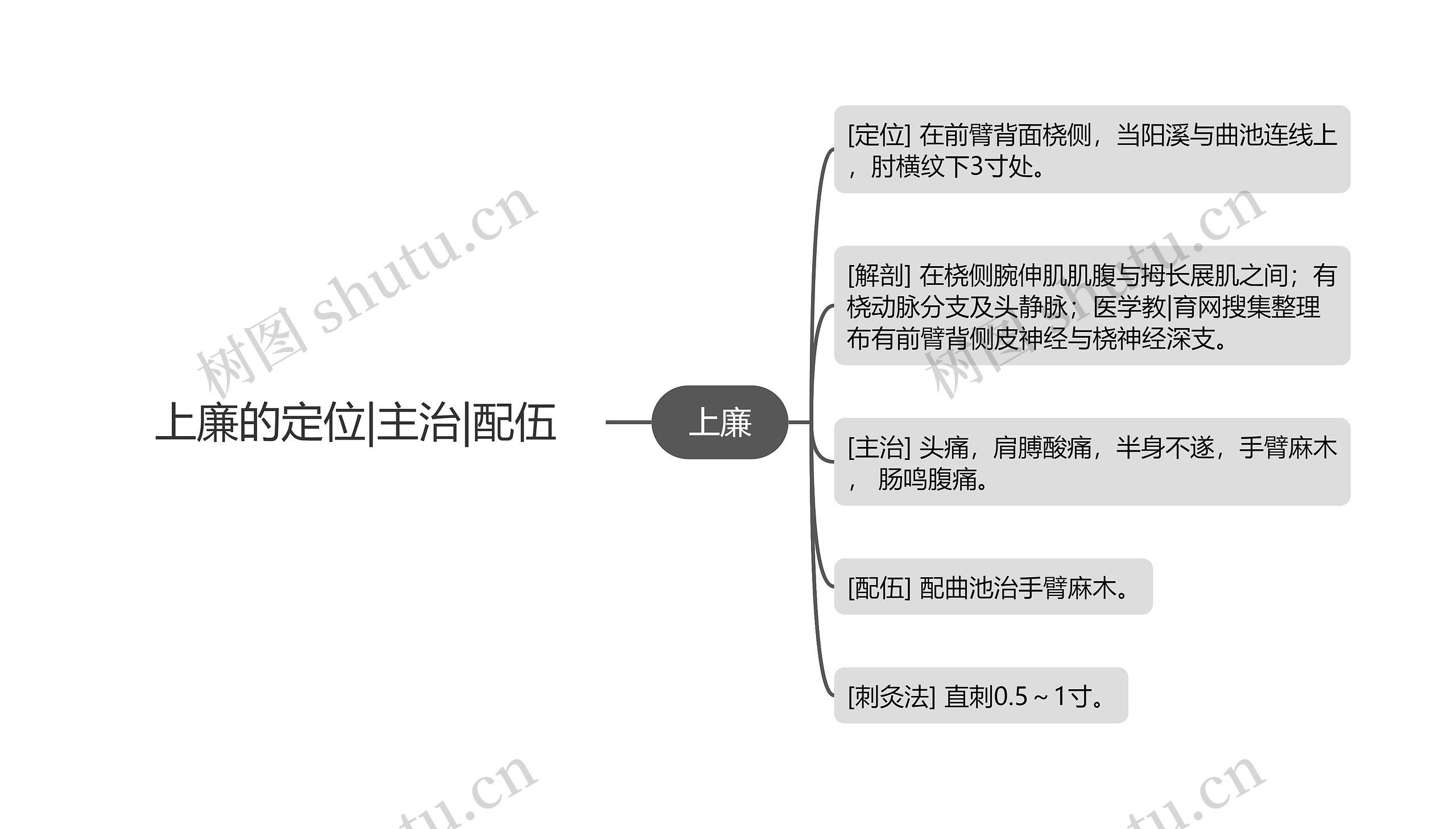 上廉的定位|主治|配伍