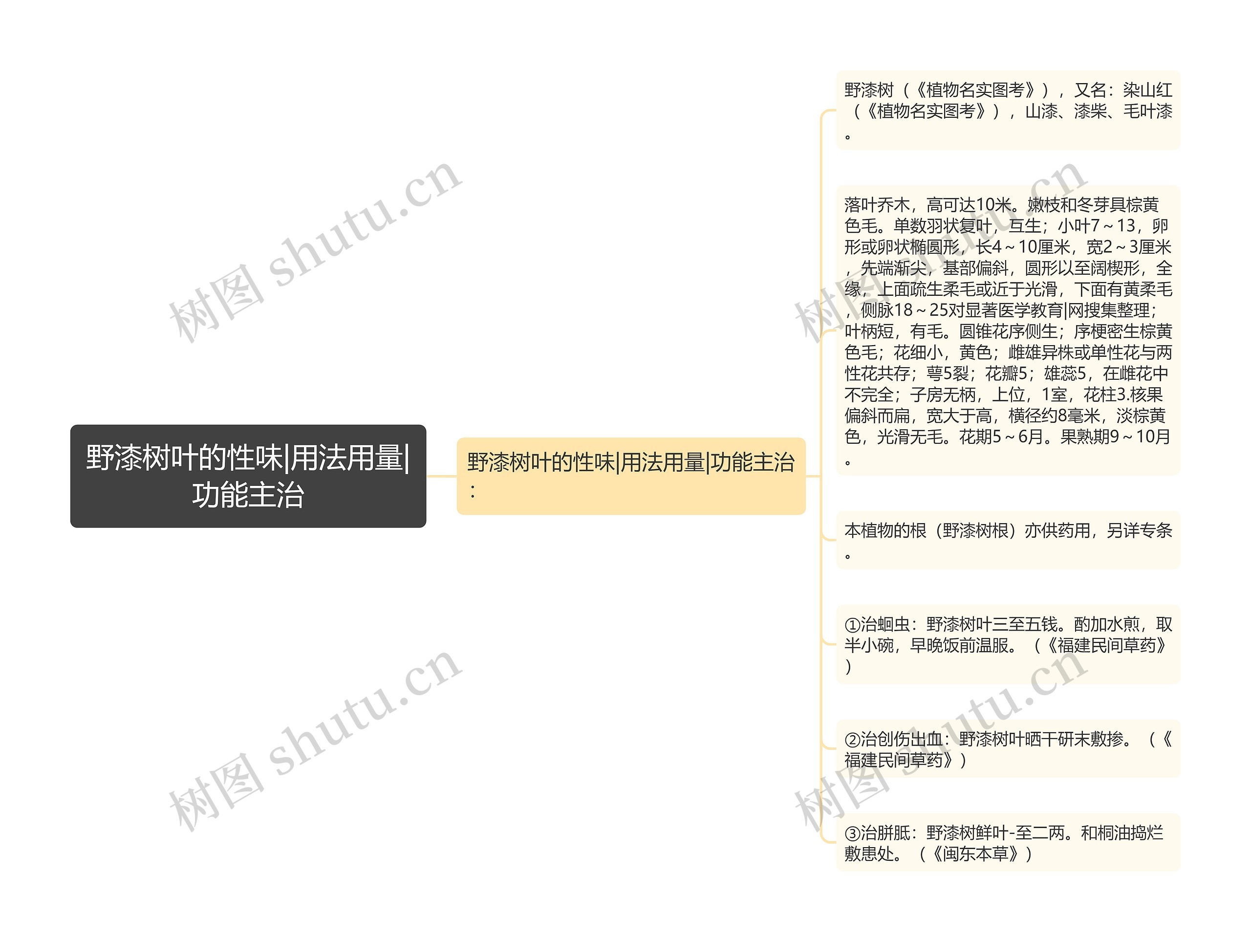 野漆树叶的性味|用法用量|功能主治
