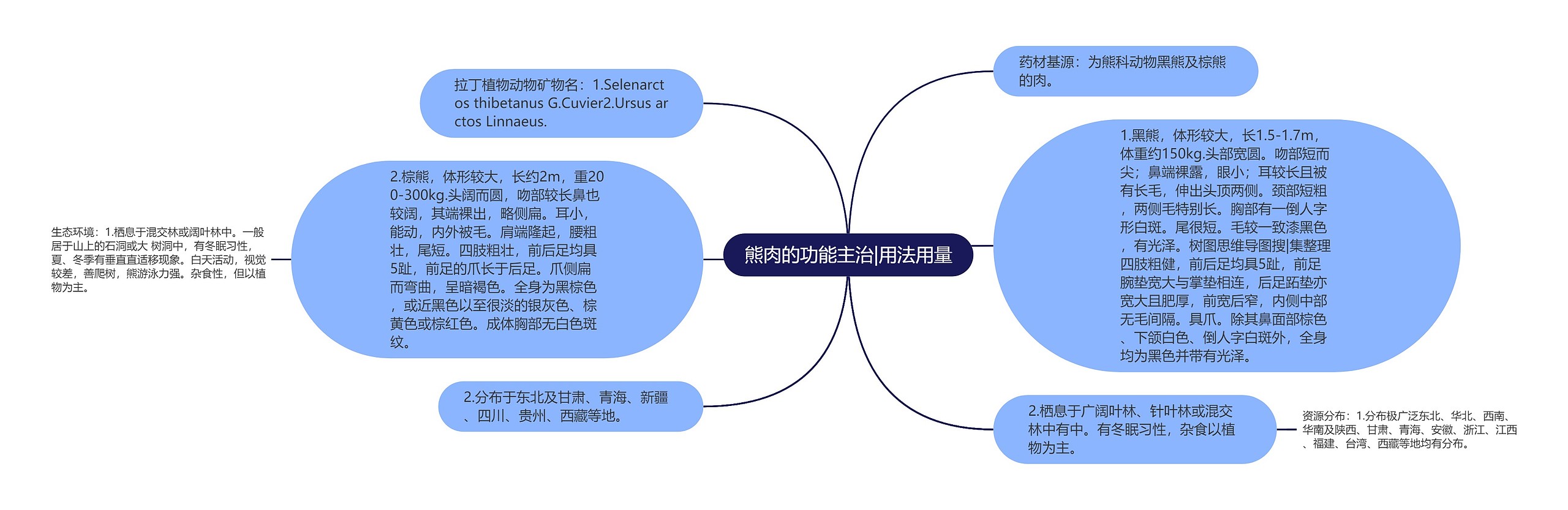 熊肉的功能主治|用法用量思维导图