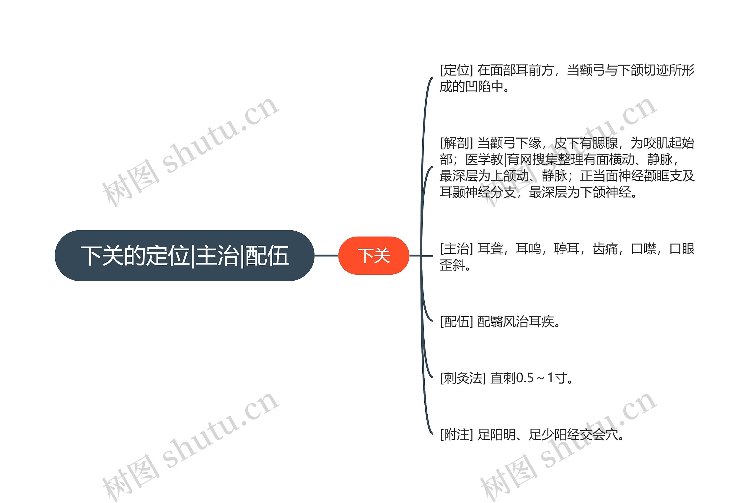 下关的定位|主治|配伍思维导图