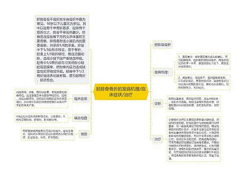 胫腓骨骨折的发病机理/临床症状/治疗