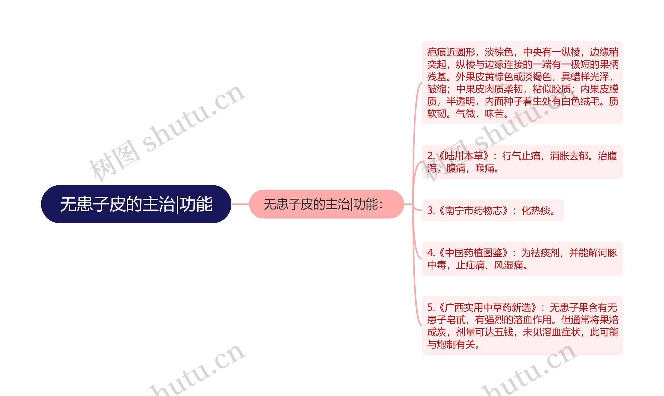 无患子皮的主治|功能思维导图