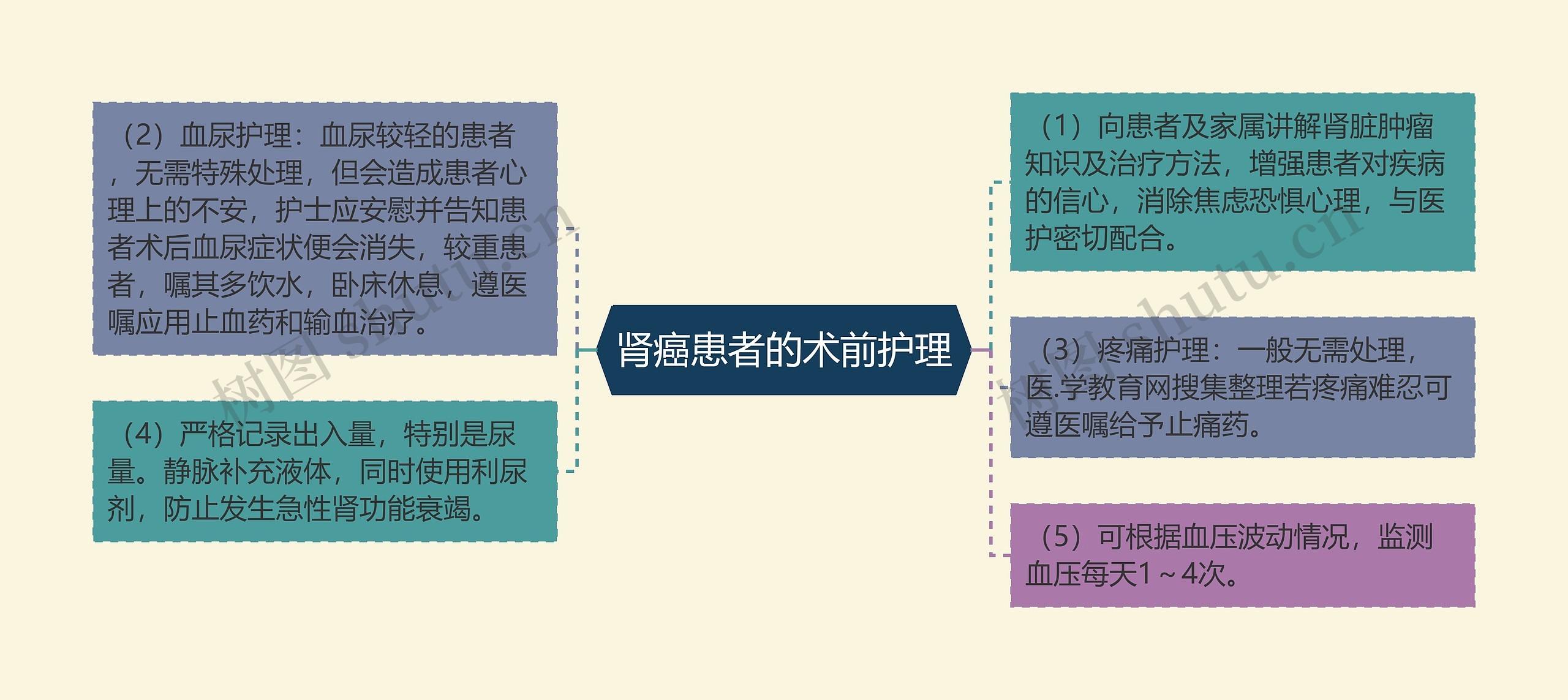 肾癌患者的术前护理思维导图